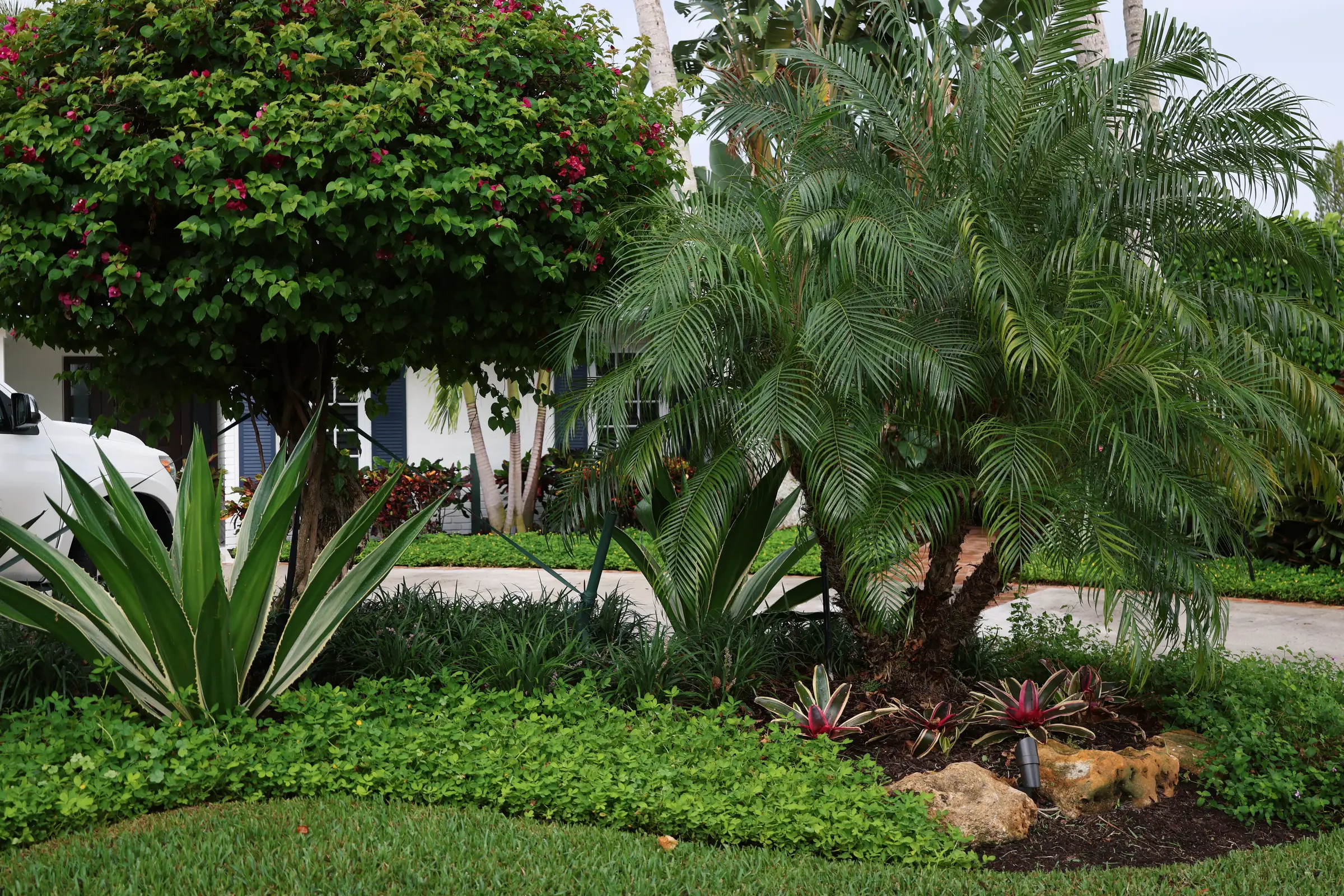 Agave bromeliads and boulder bed