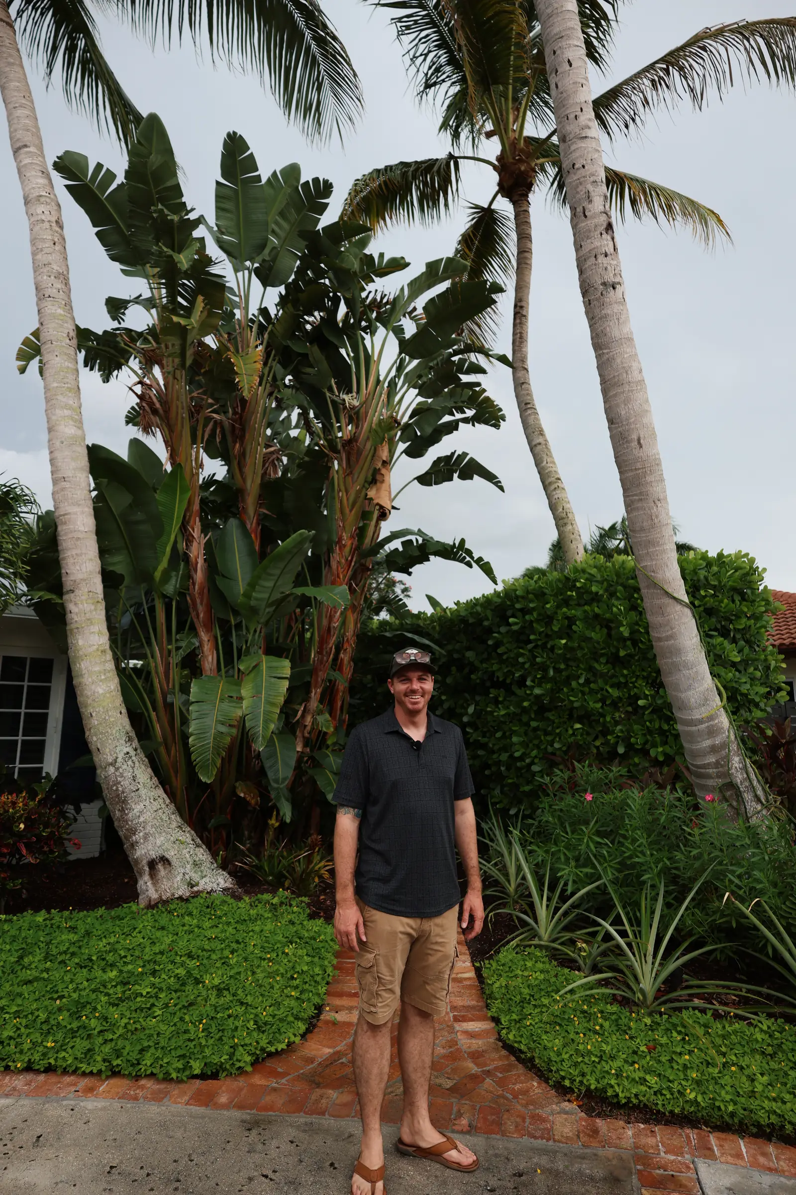 Bailey standing in the garden, vertical