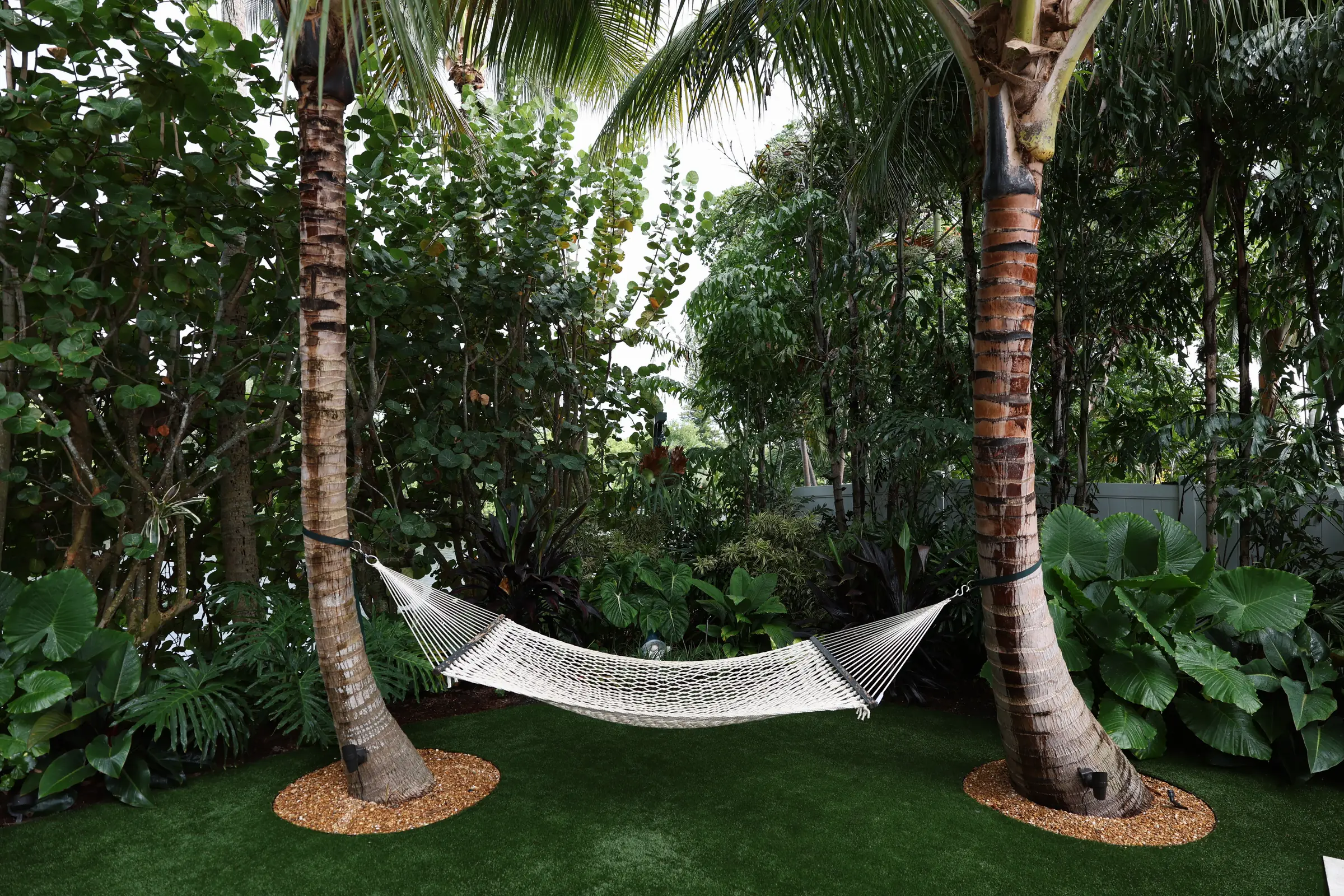 Hammock slung between two palms