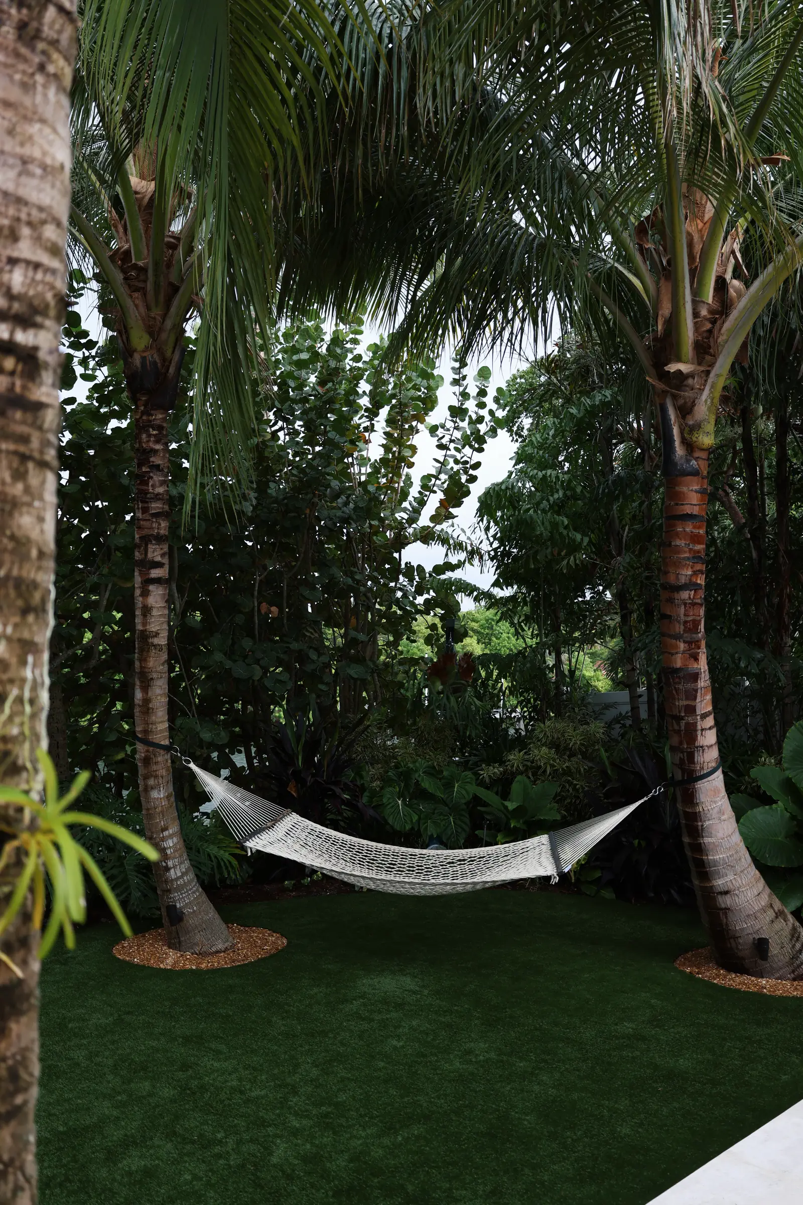 Hammock between palms, vertical