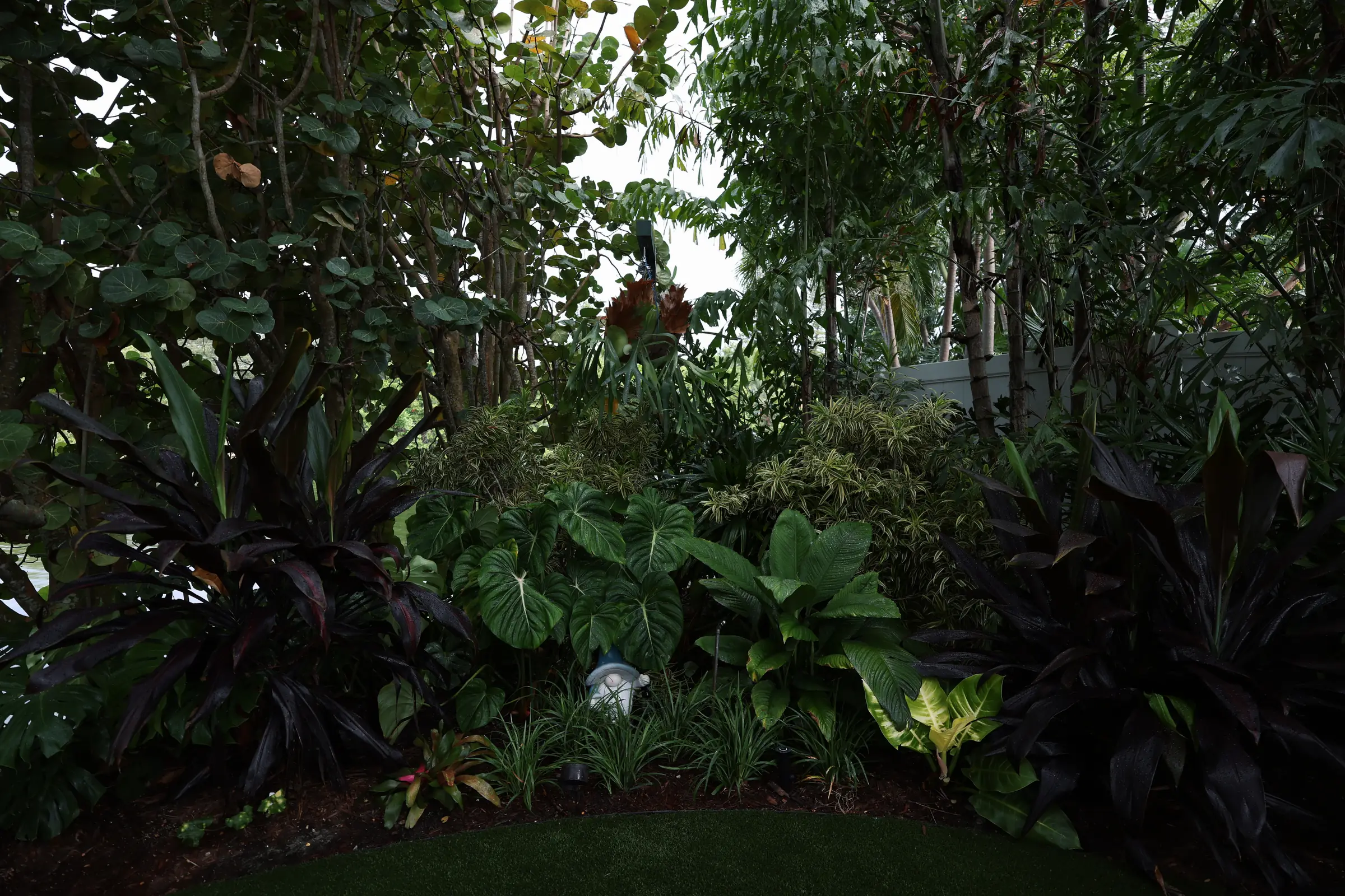 Cordyline croton and path light bed