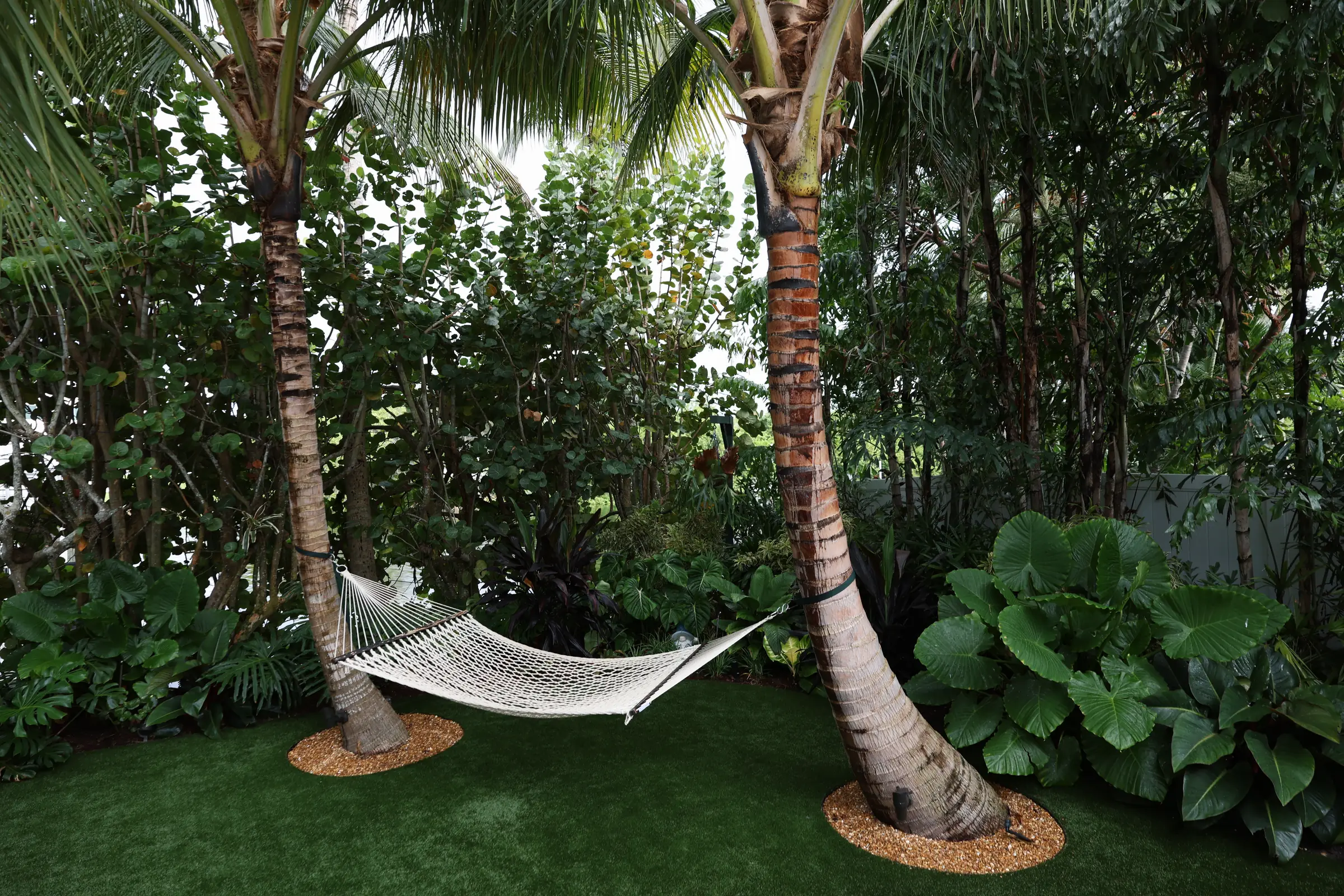 Hammock with palm trunk foreground