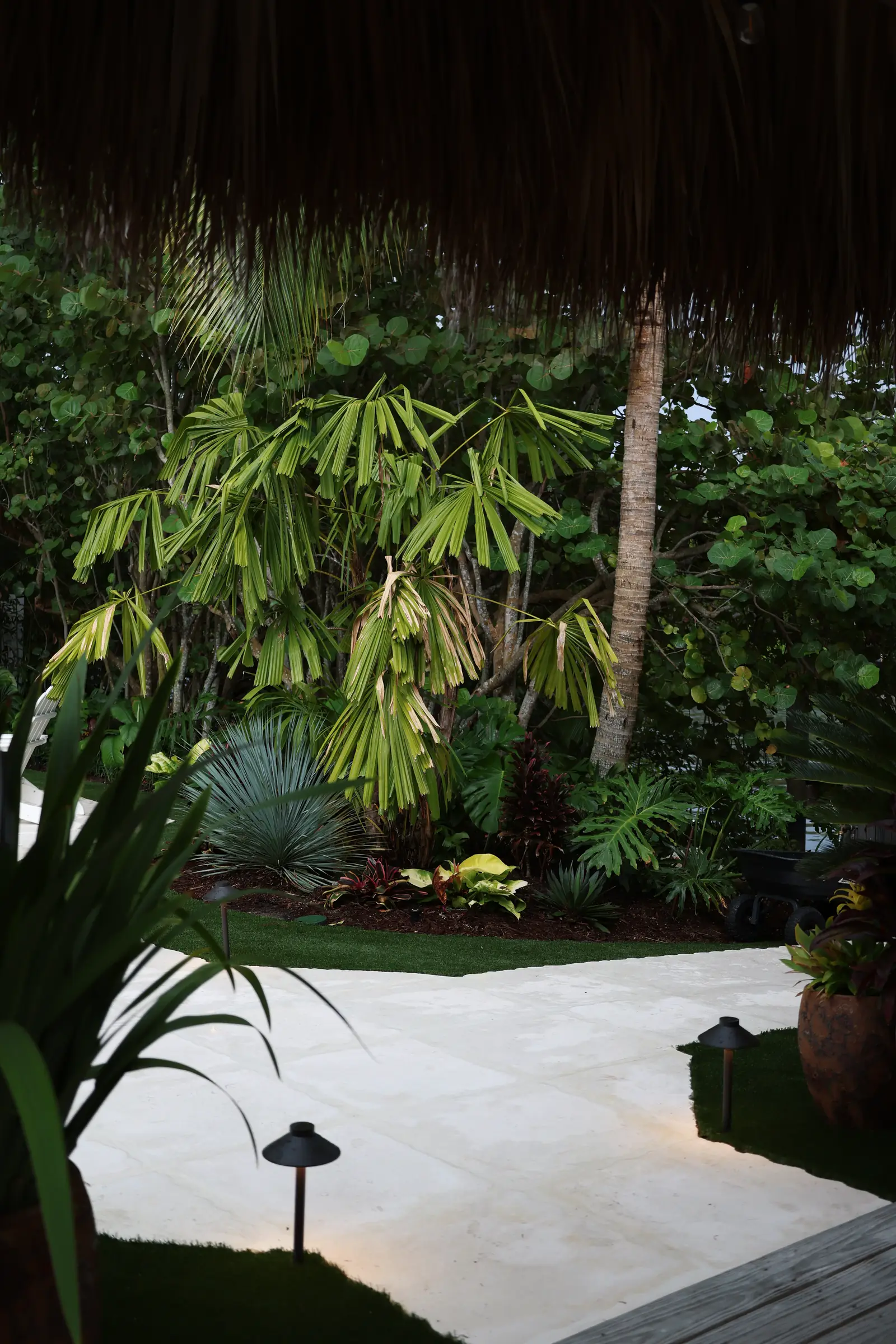 Fan palm bed with path light at tiki