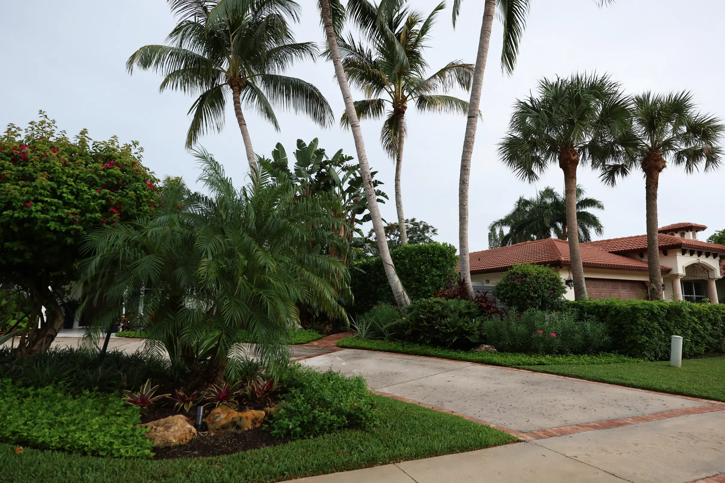 Drive and bed with palms