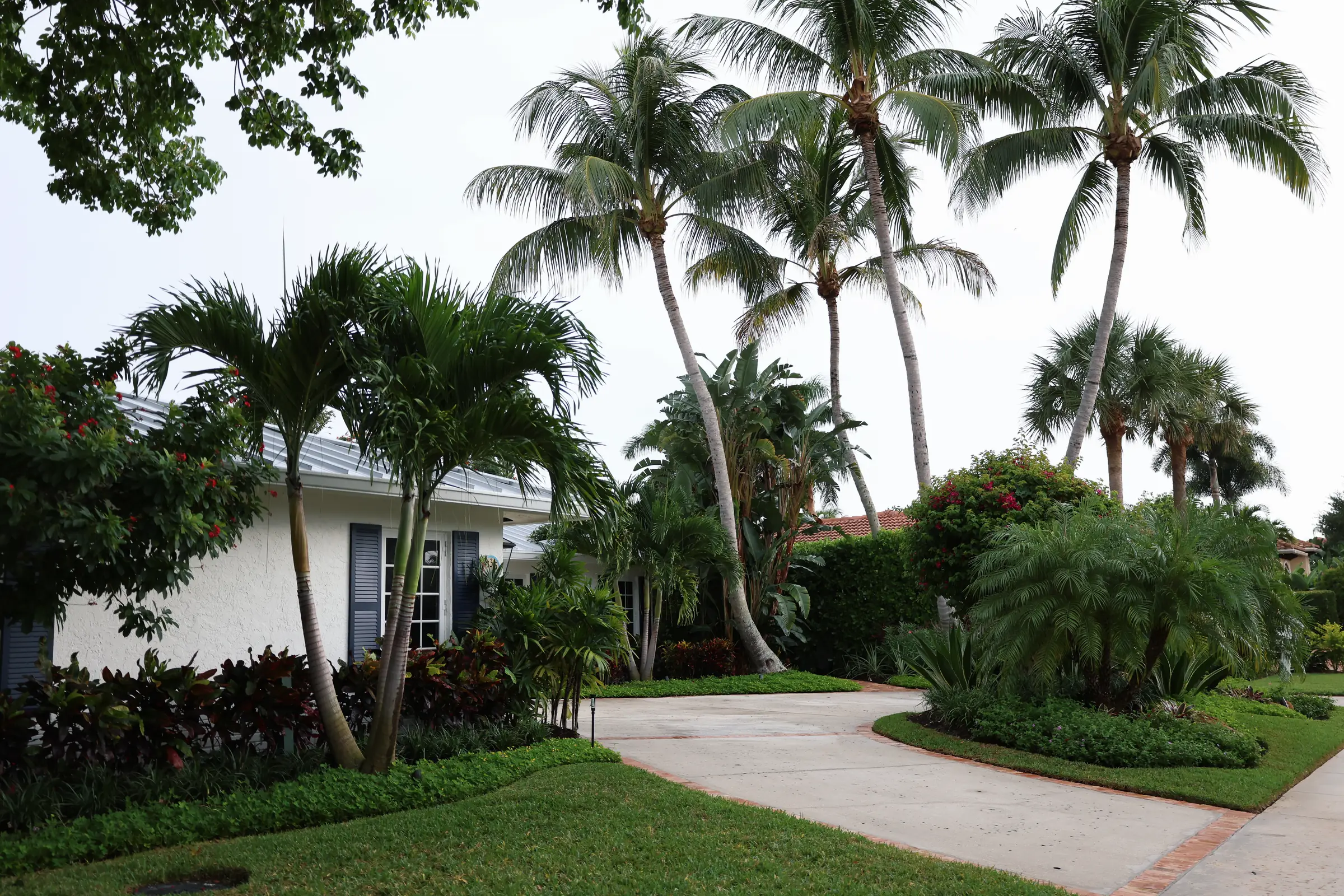 White house and circular drive with palms