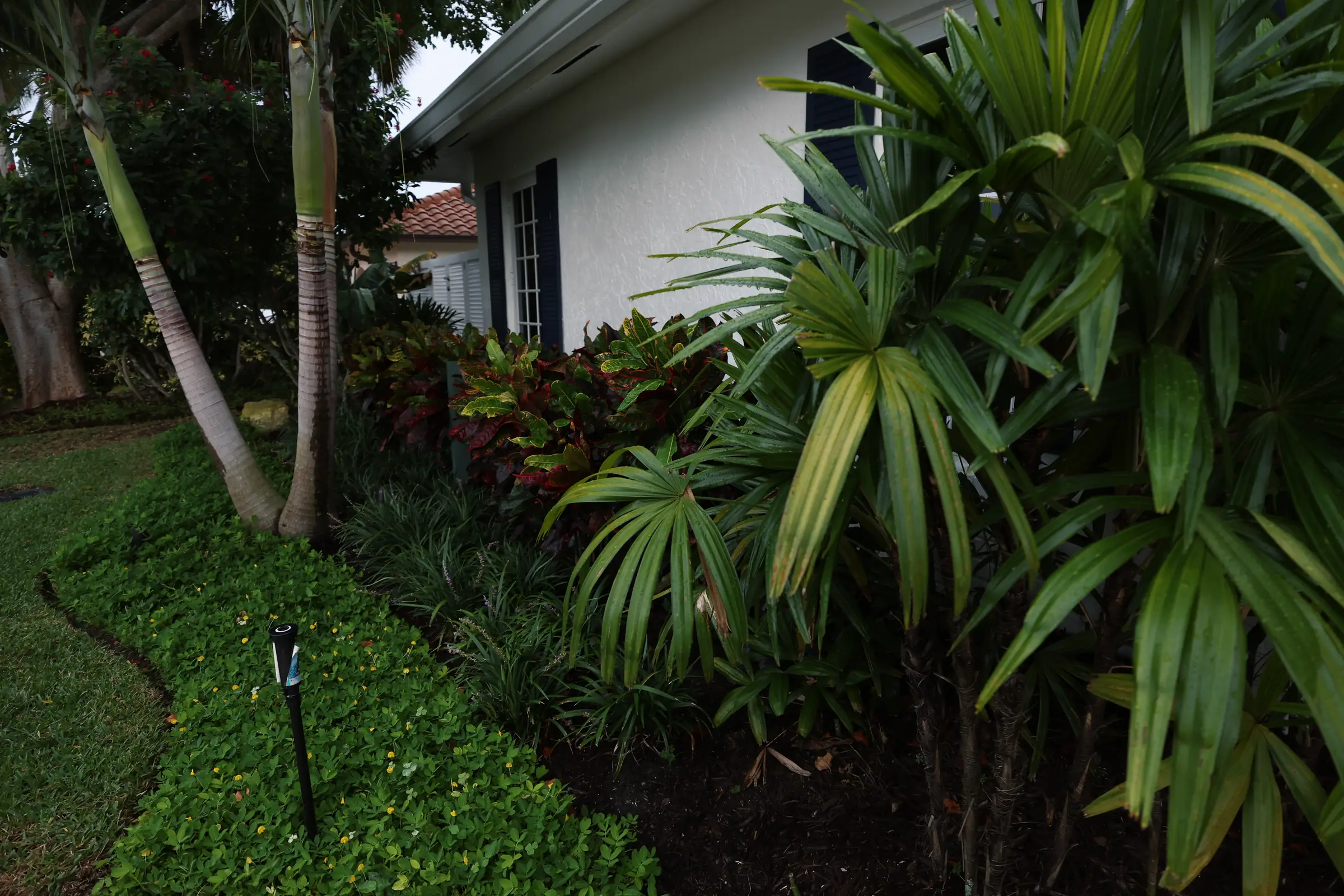 Side turf path with path light and croton