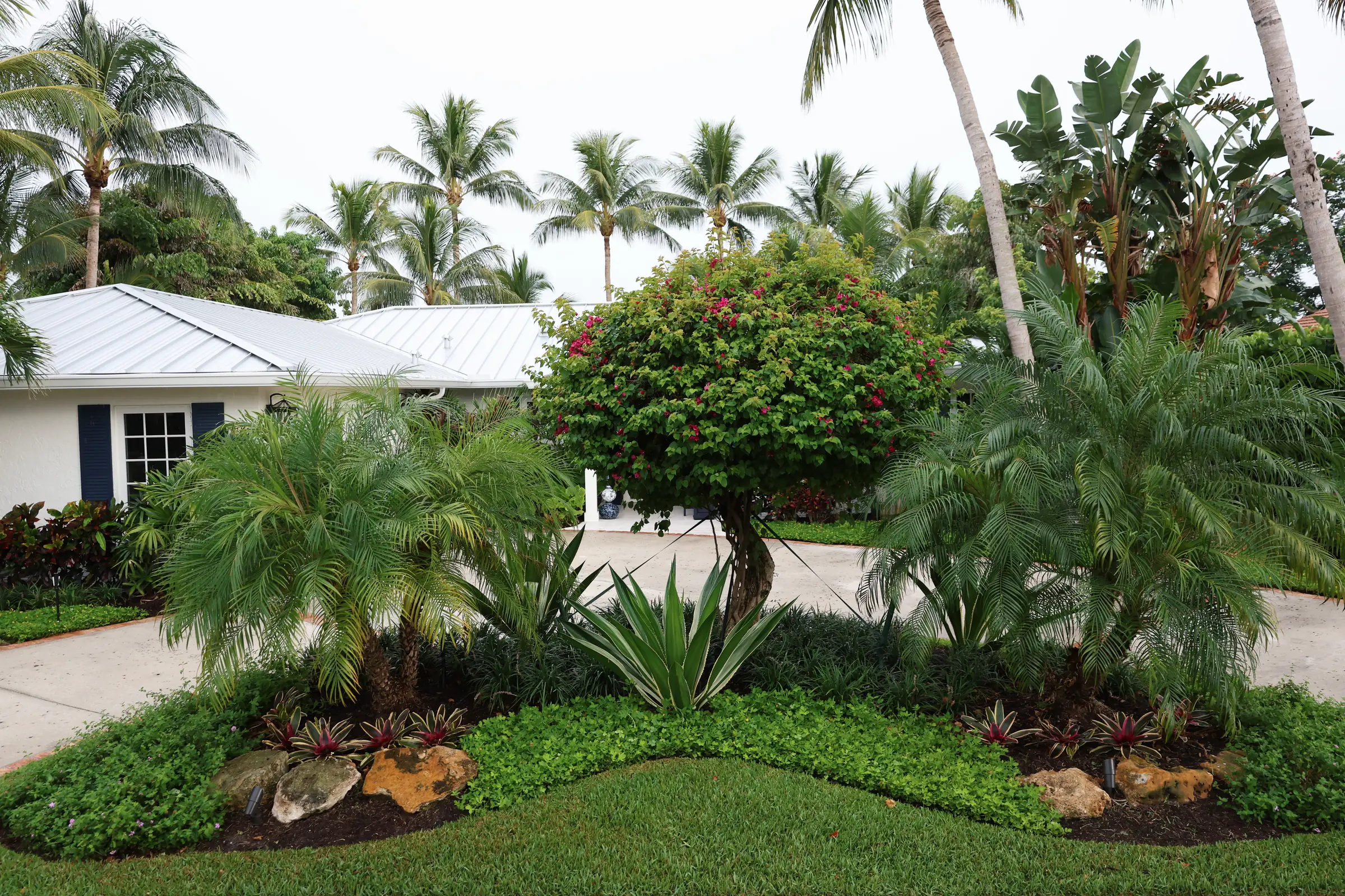 Agave island bed in circular drive