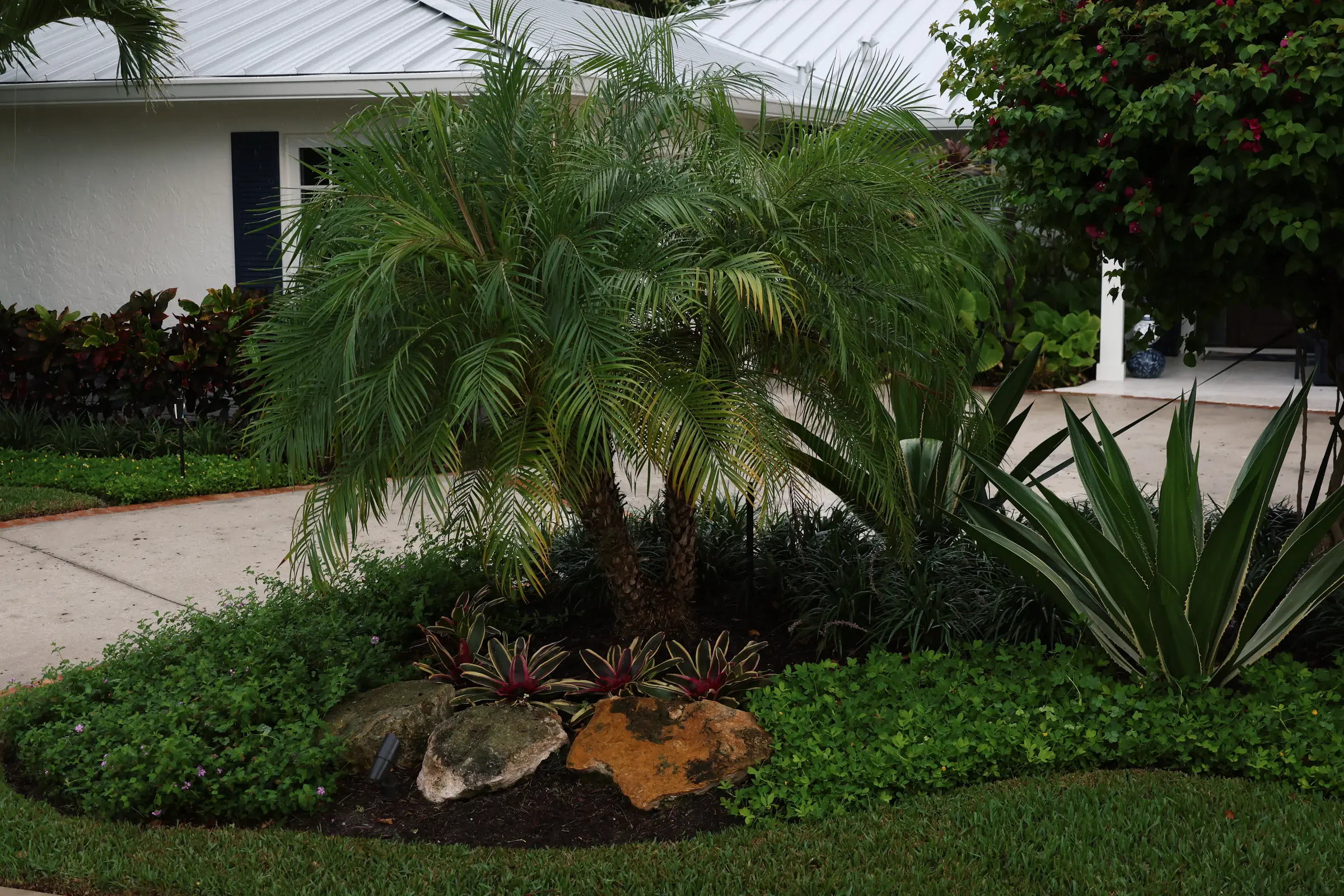 Agave bromeliads and boulders island bed