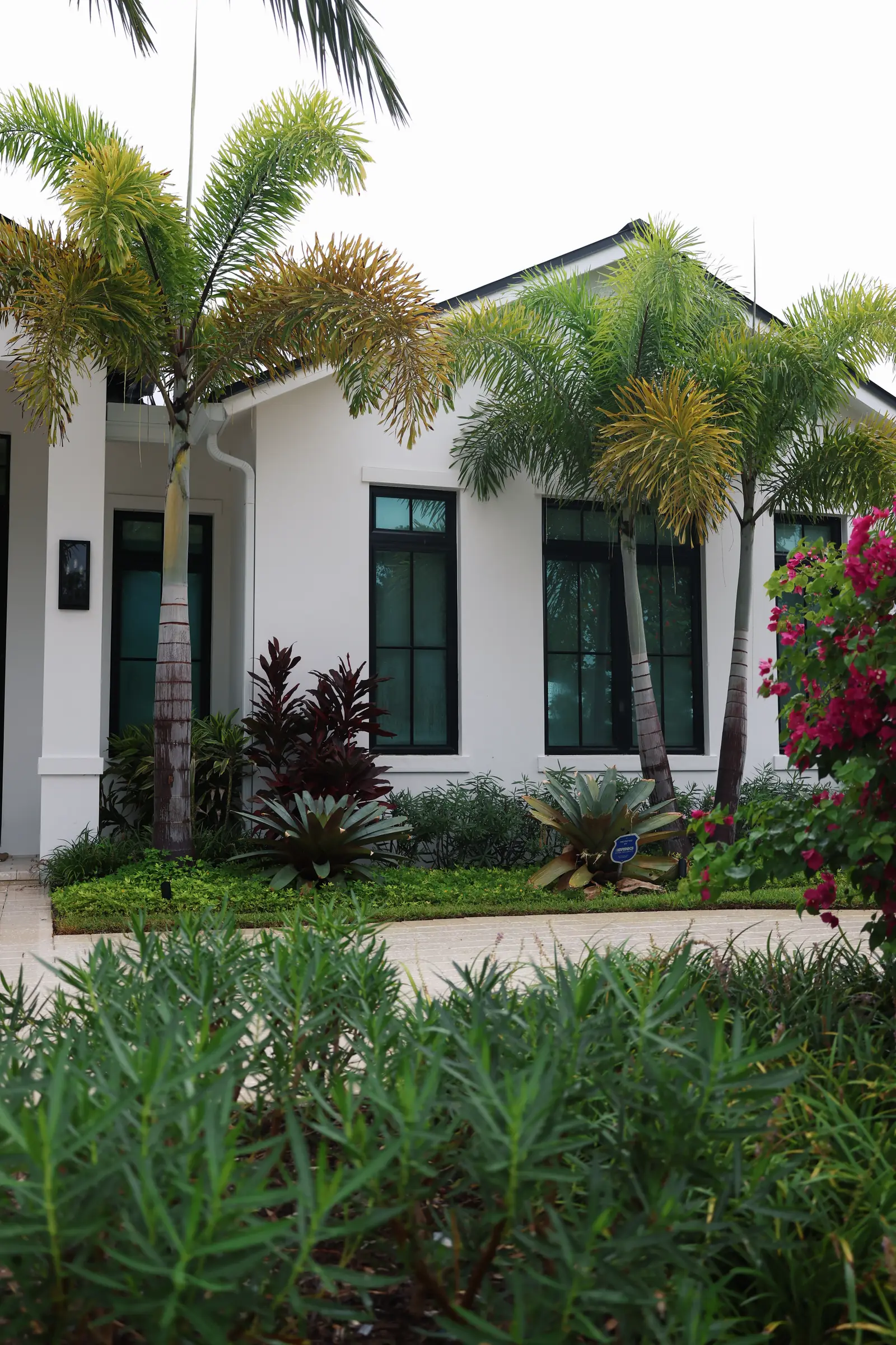Facade with palms, vertical