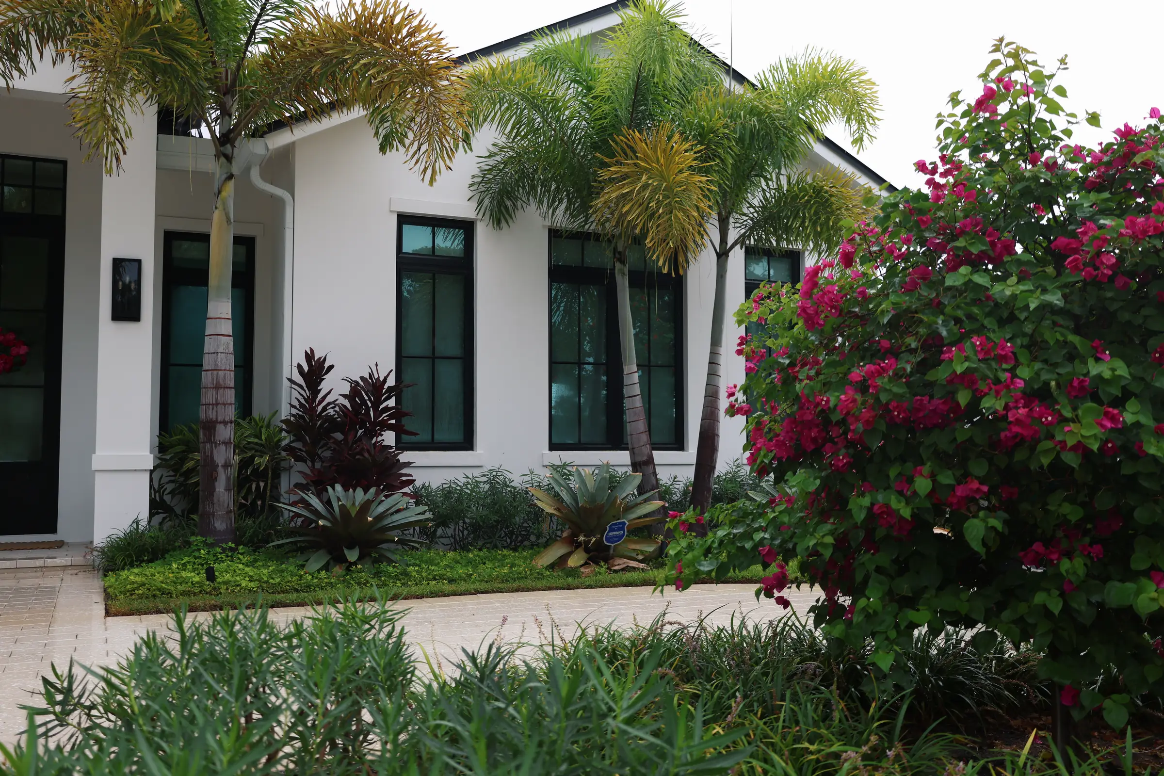 Facade with pink bougainvillea