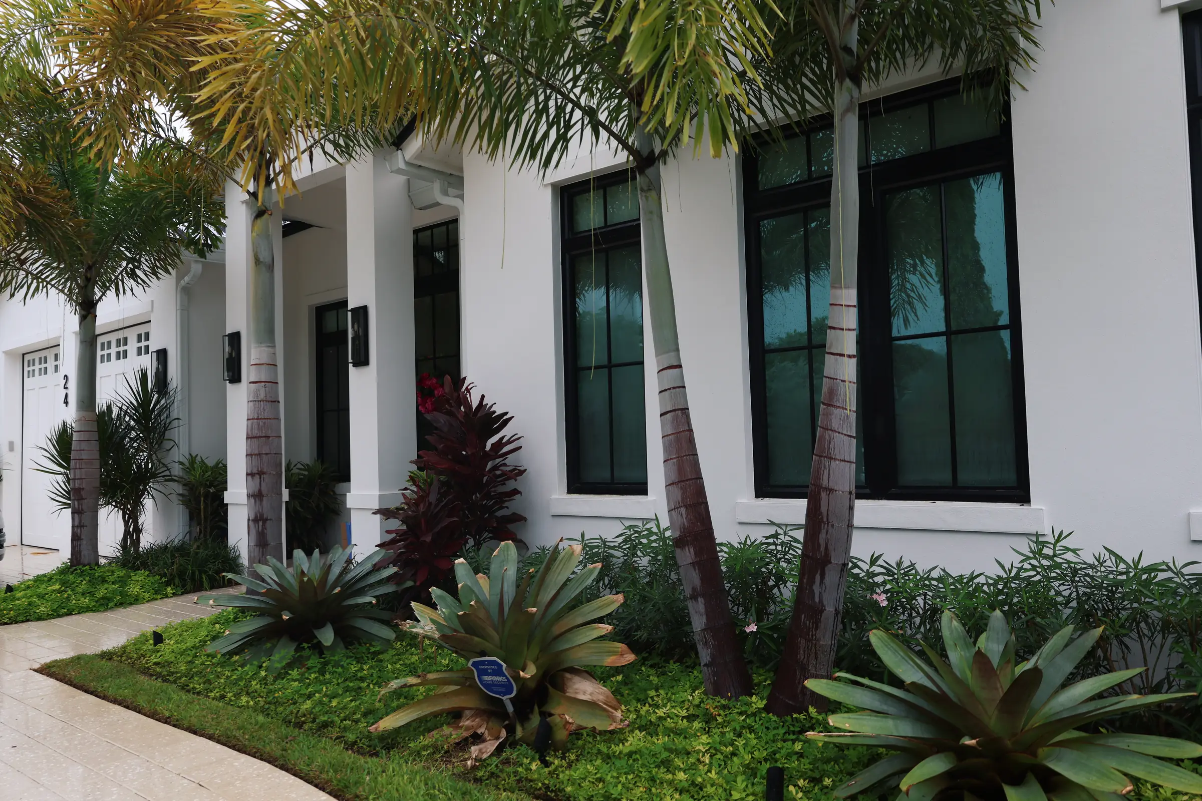Bromeliad and cordyline foundation bed