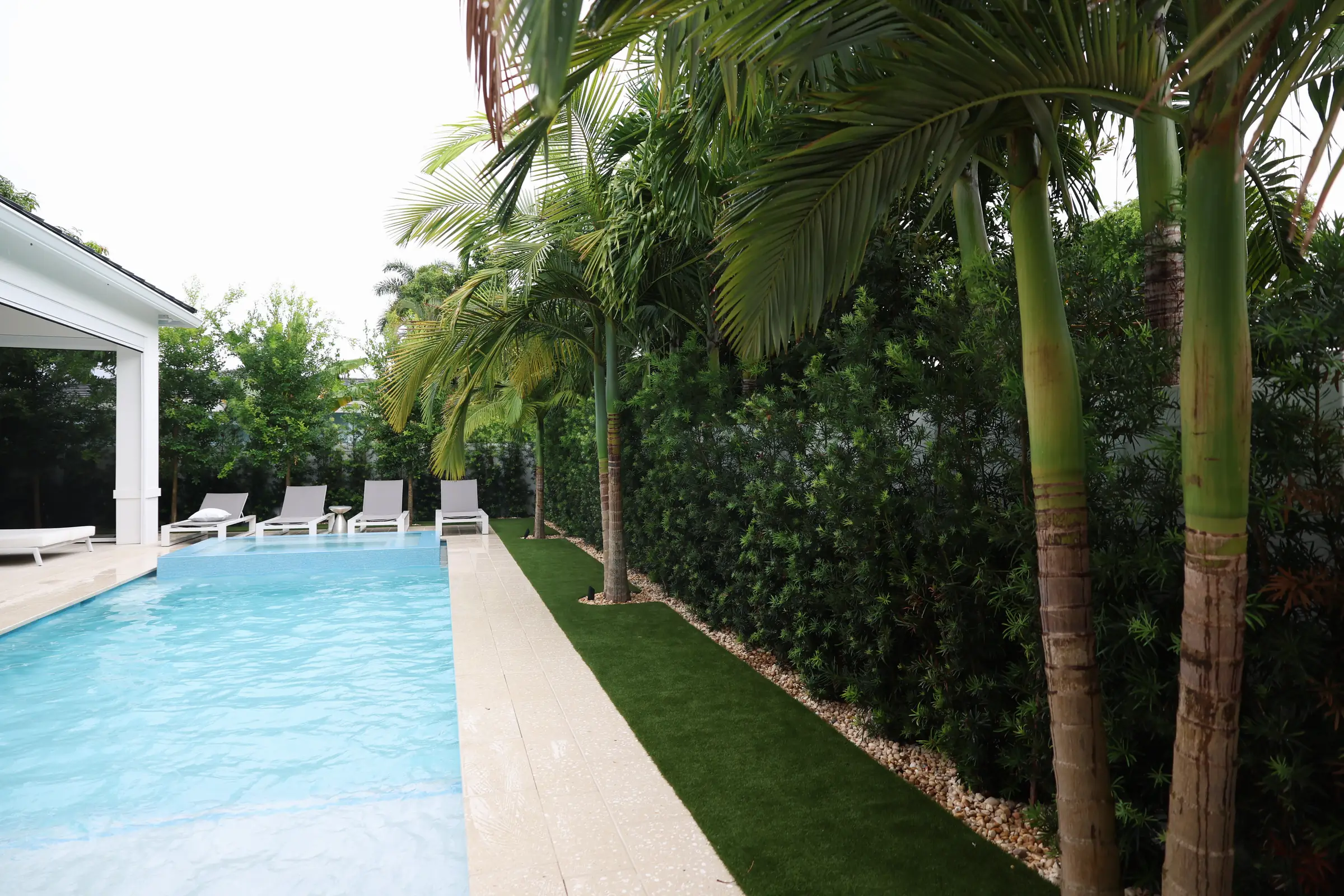 Lap pool palms and clusia hedge