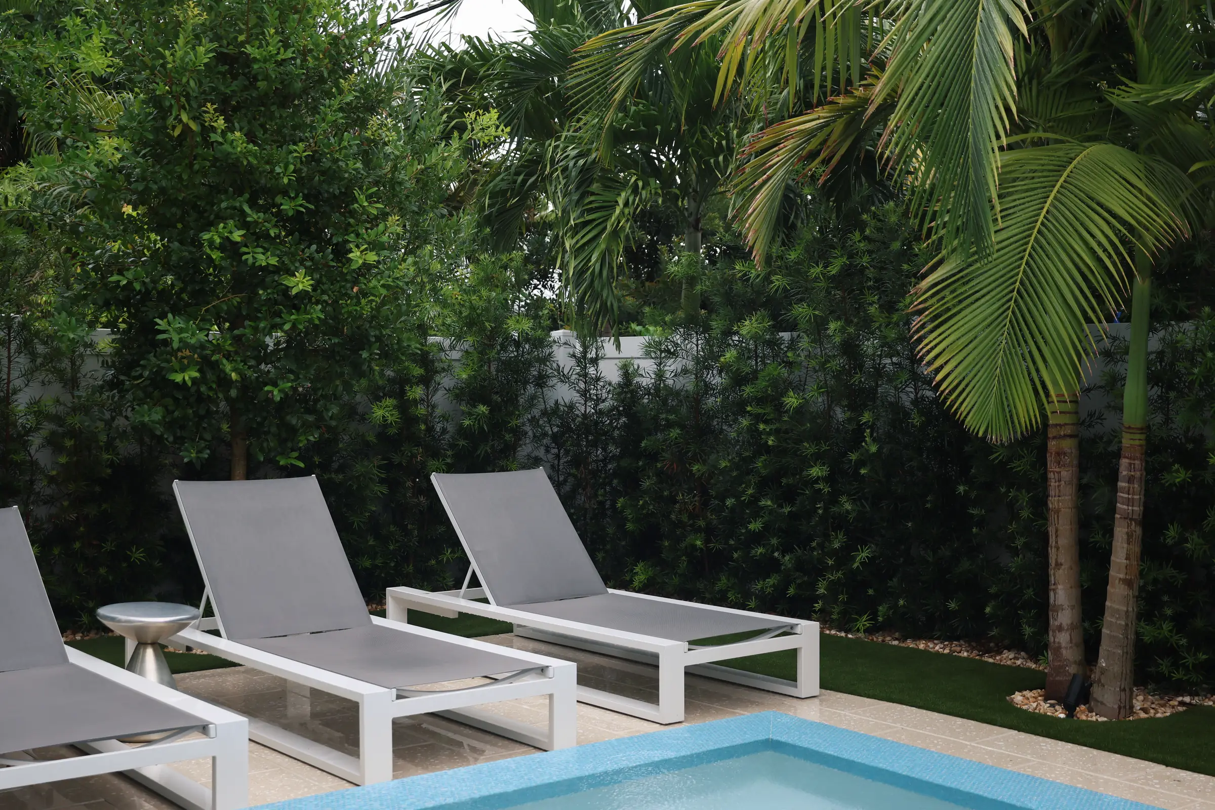 Loungers and palm at pool coping