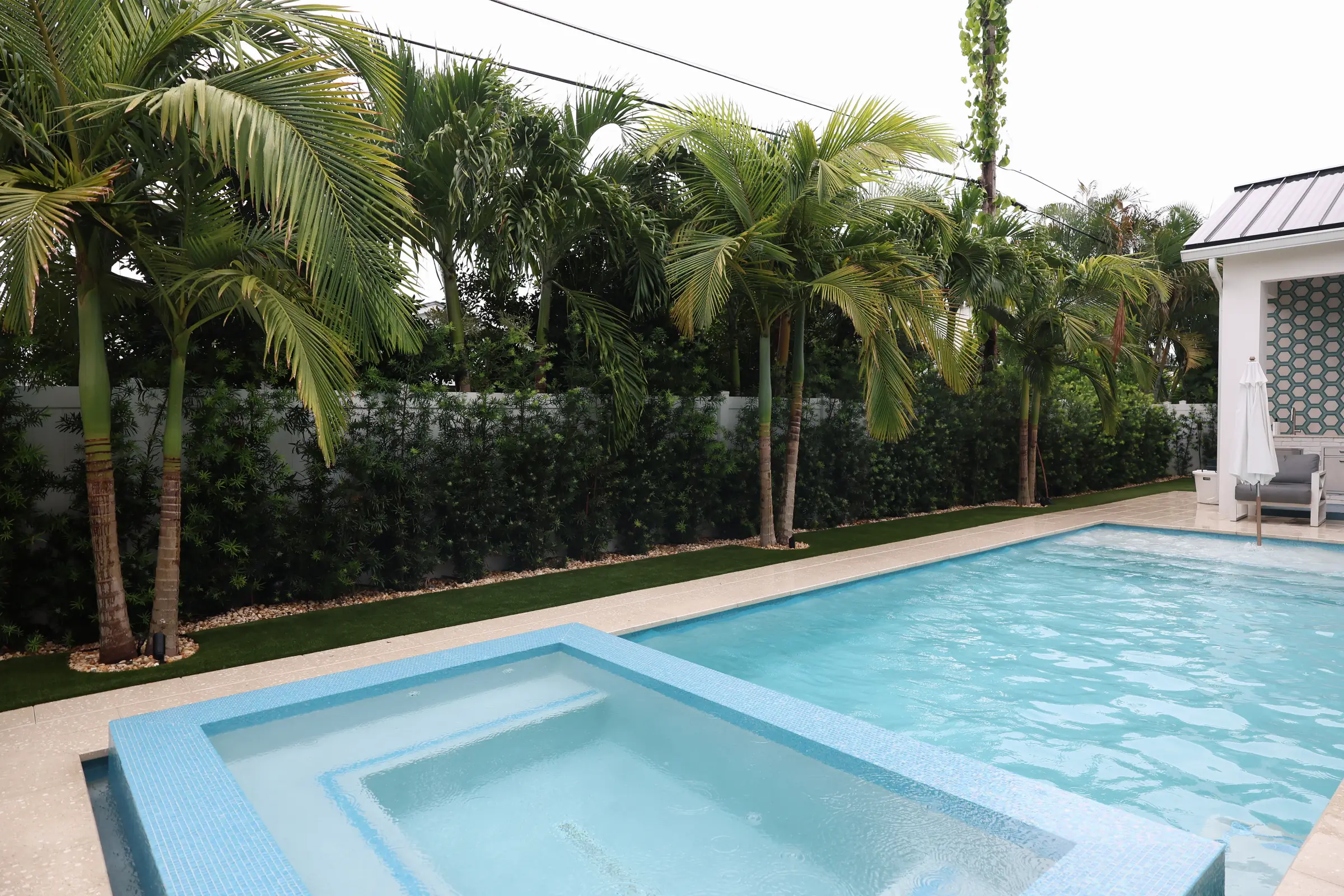 Lap pool, palms and clusia hedge