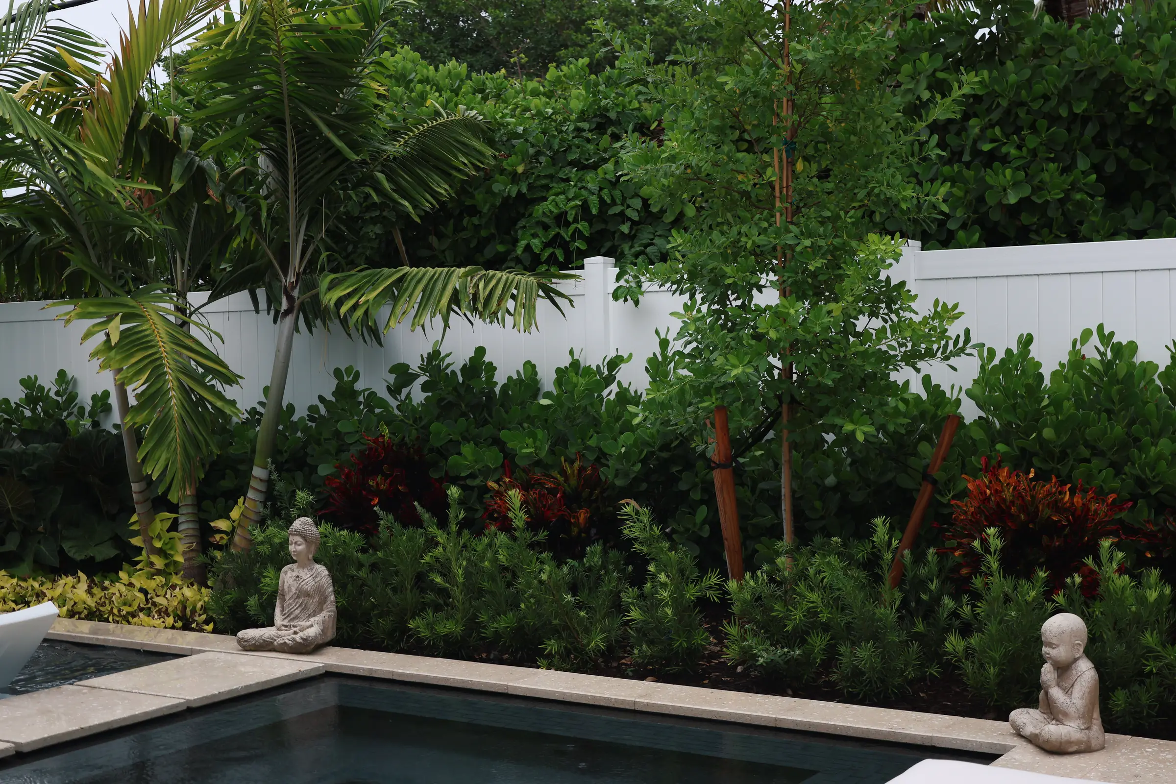 Buddha statue at pool edge with cordyline
