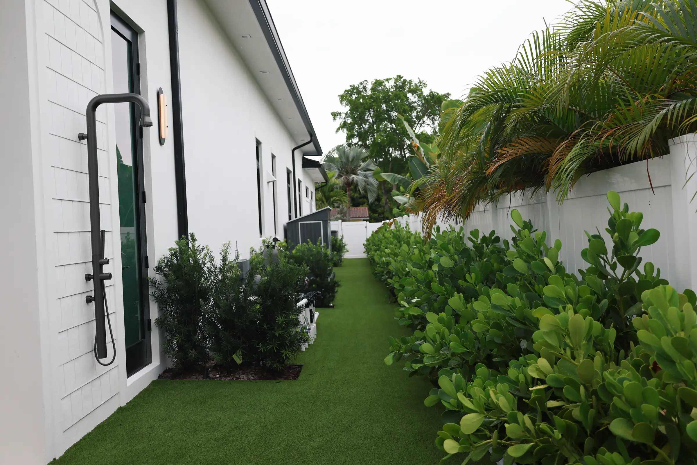 Side yard turf clusia and black downspout