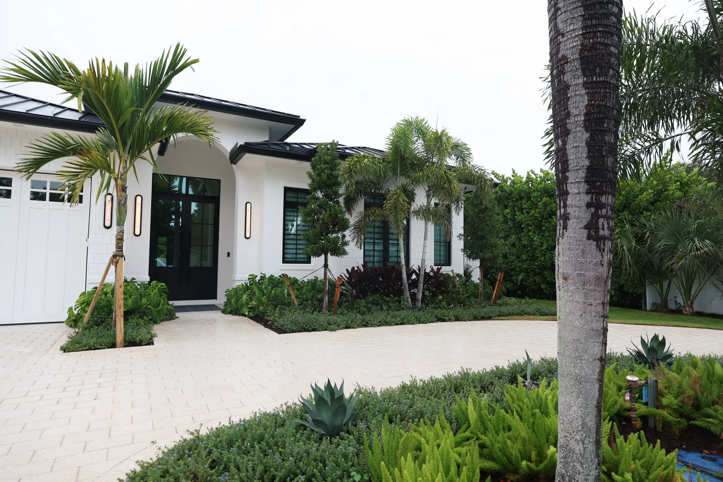 Facade approach with palms