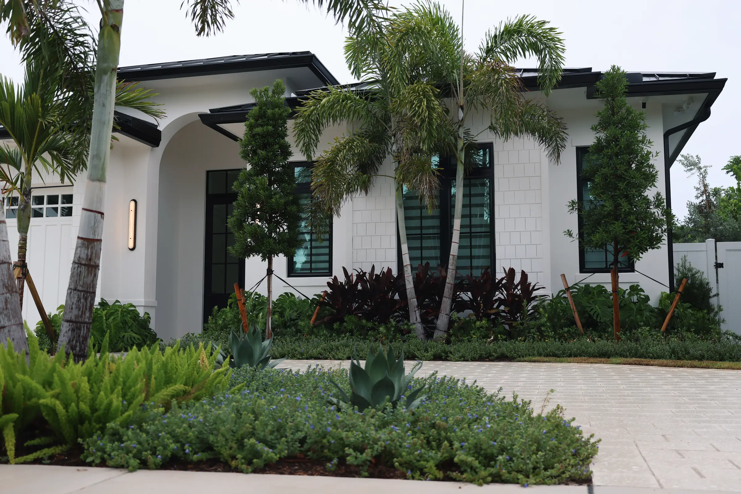 Agave and bromeliad bed under staked palms