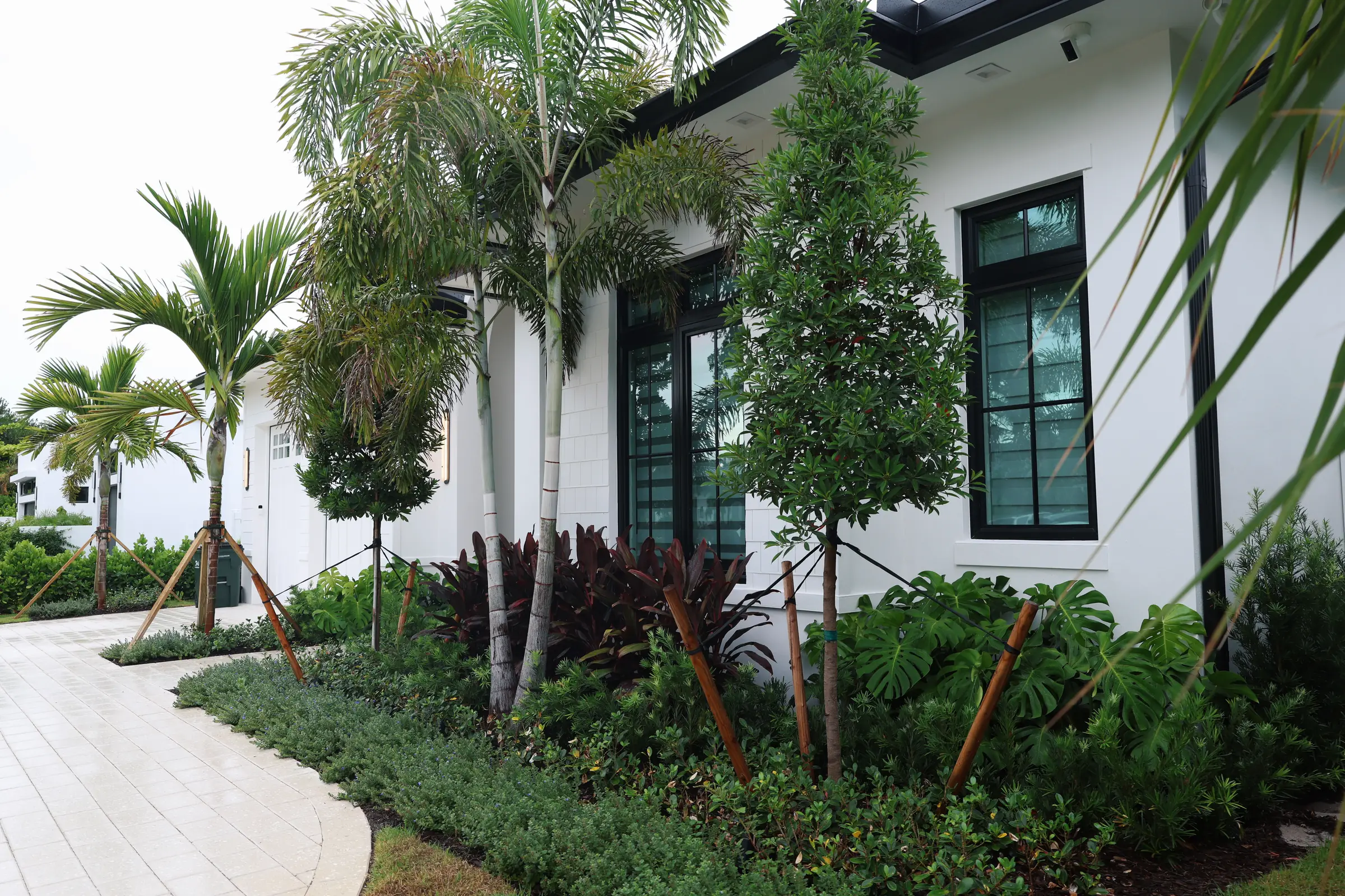 Side bed with cordyline, palms and path