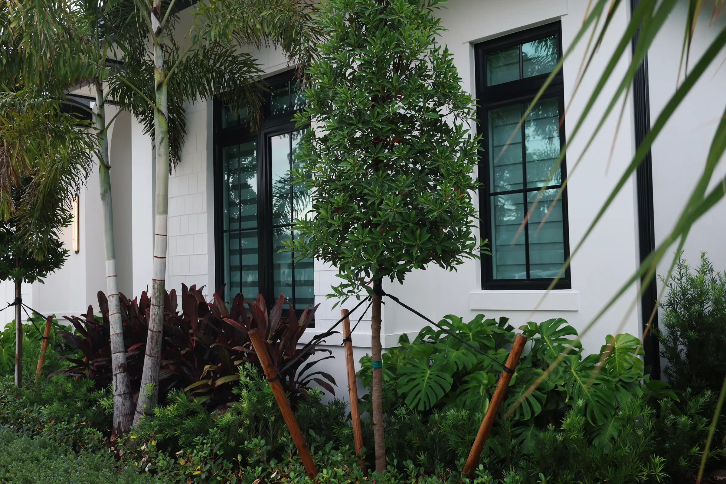 Cordyline and monstera foundation bed