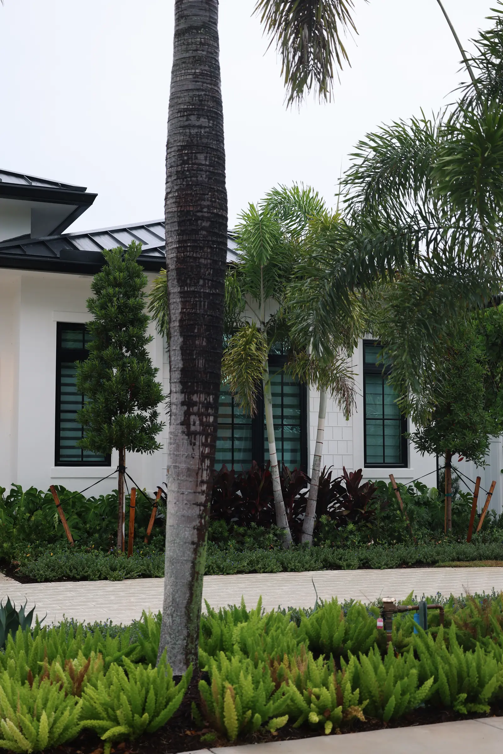 Palm trunk and house, vertical