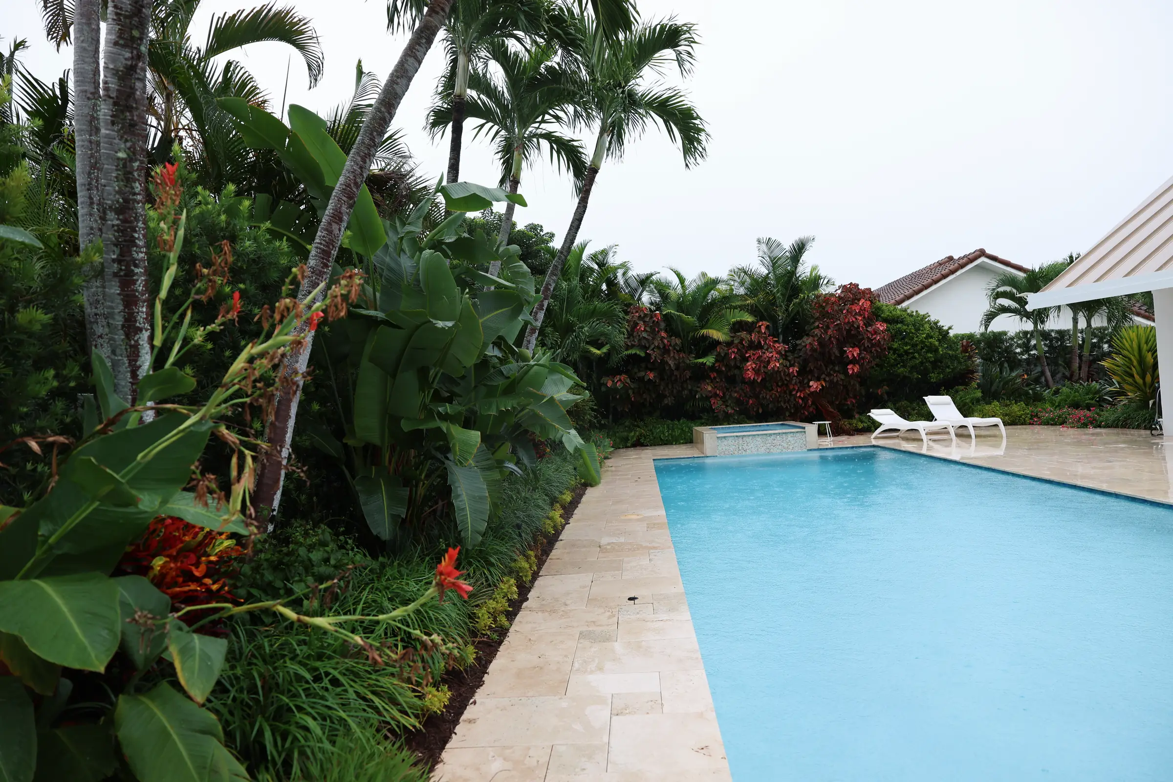 Croton and bird of paradise at pool corner