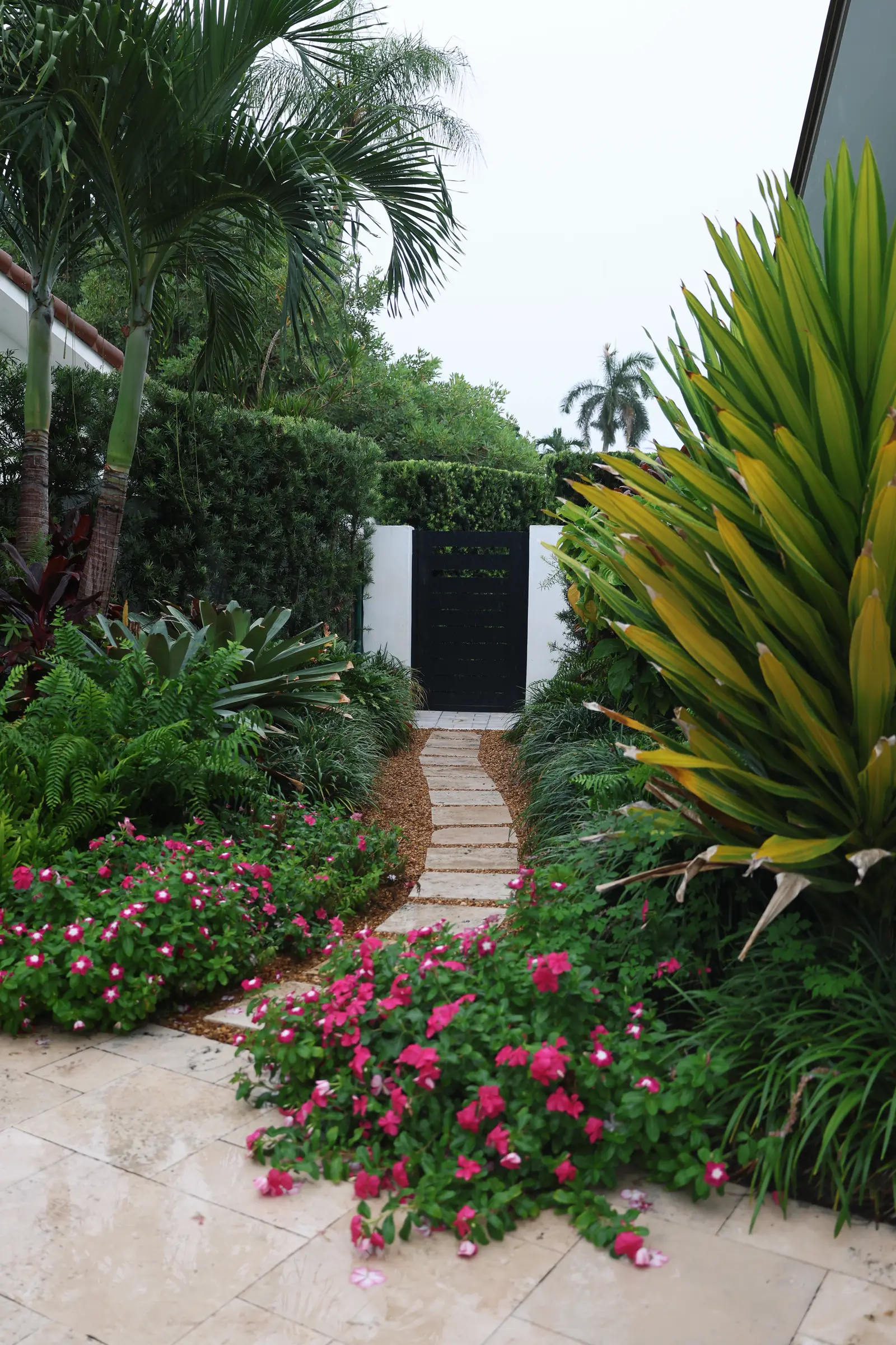 Side path with pentas, vertical