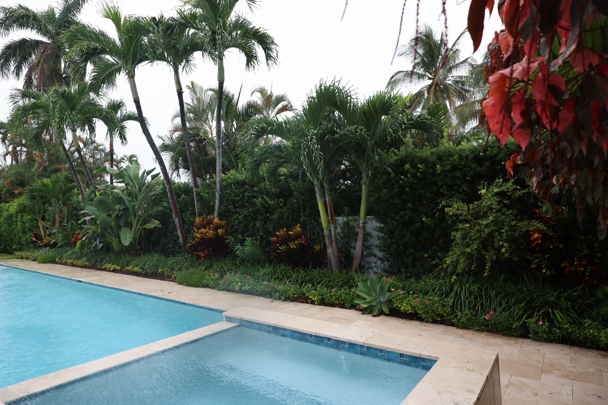 Copperleaf foliage framing pool