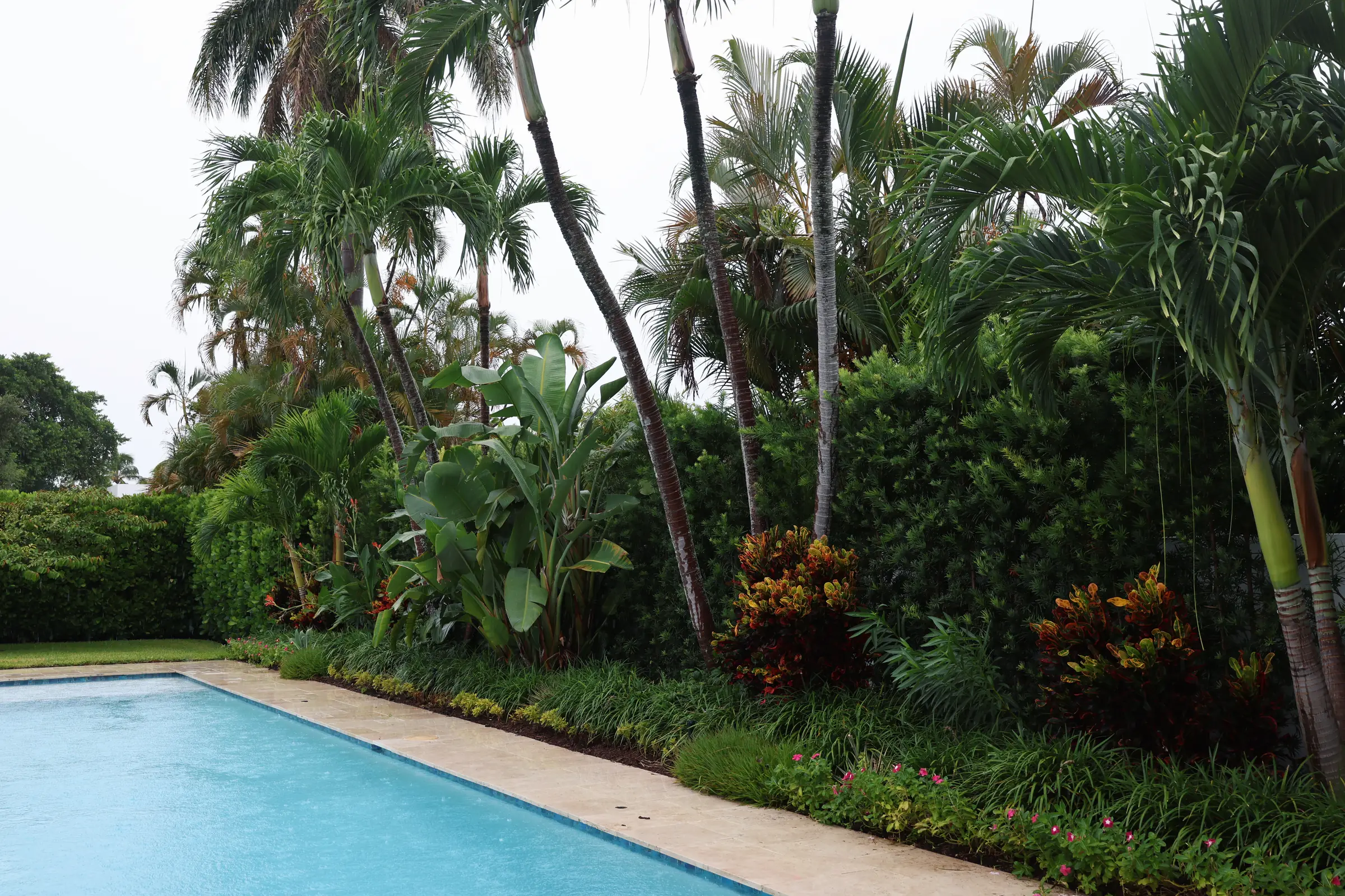 Pool edge with crotons