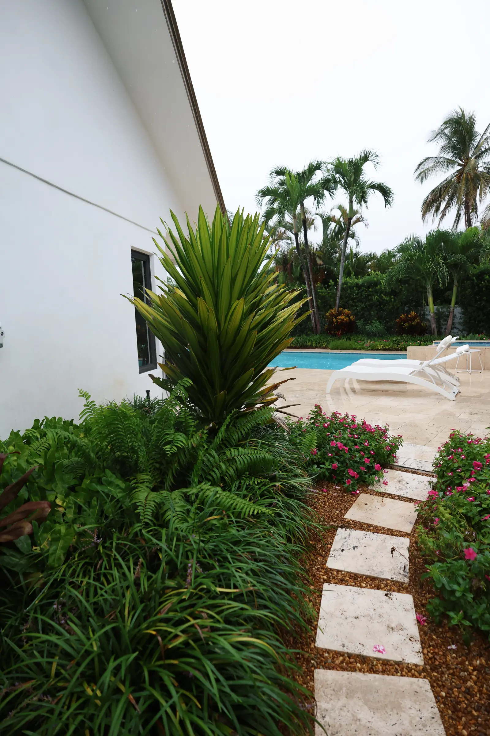 Stepping stones through dracaena and pentas