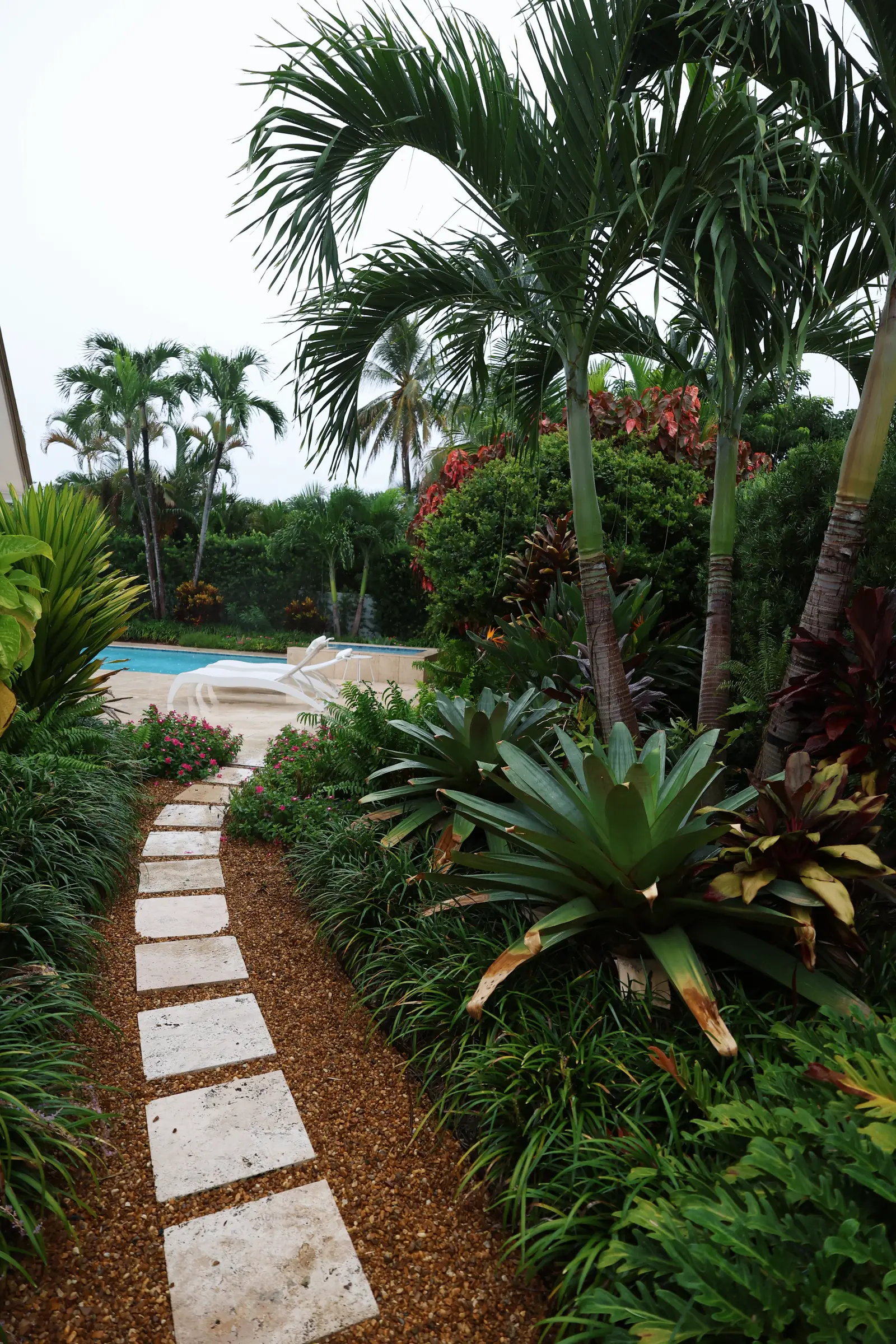 Path with bromeliads, vertical