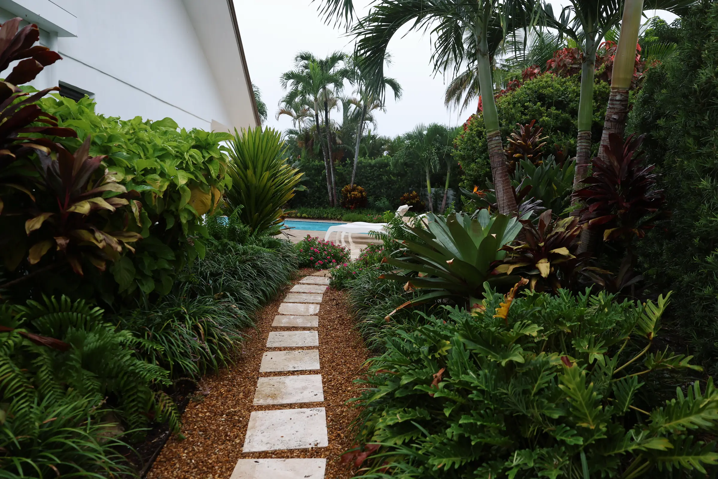 Stepping stones through cordyline and bromeliads