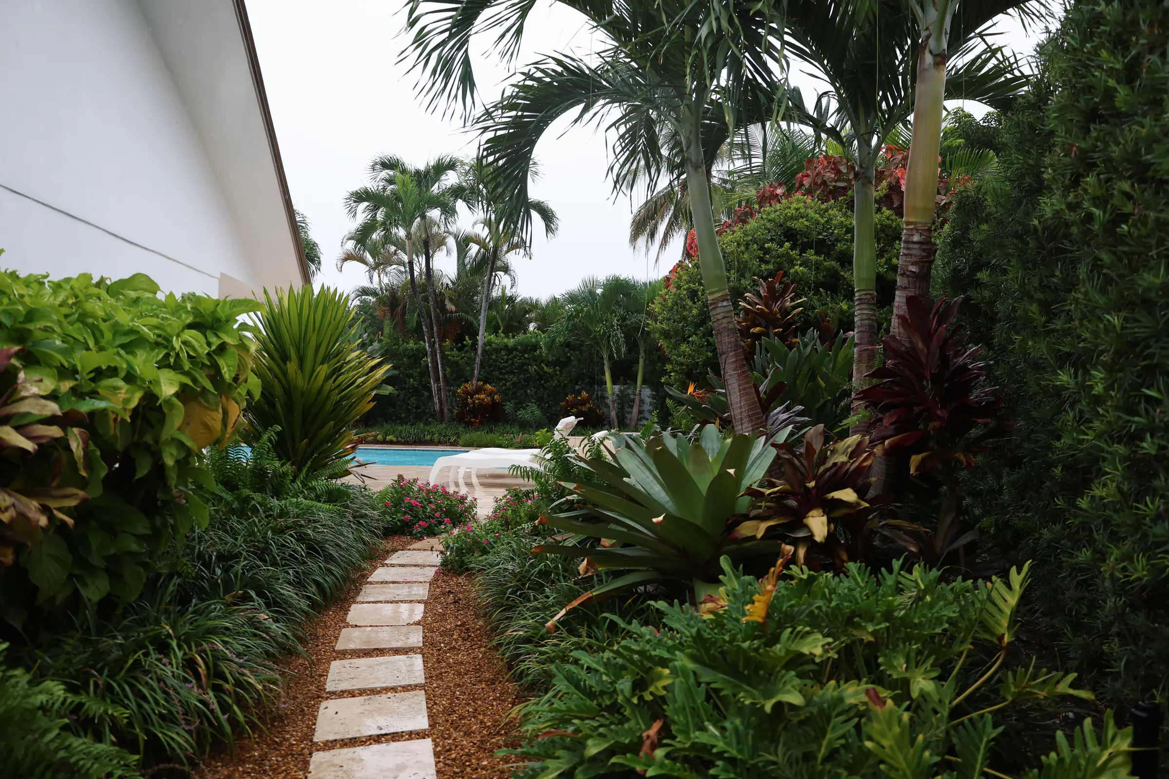 Path to pool through bromeliads
