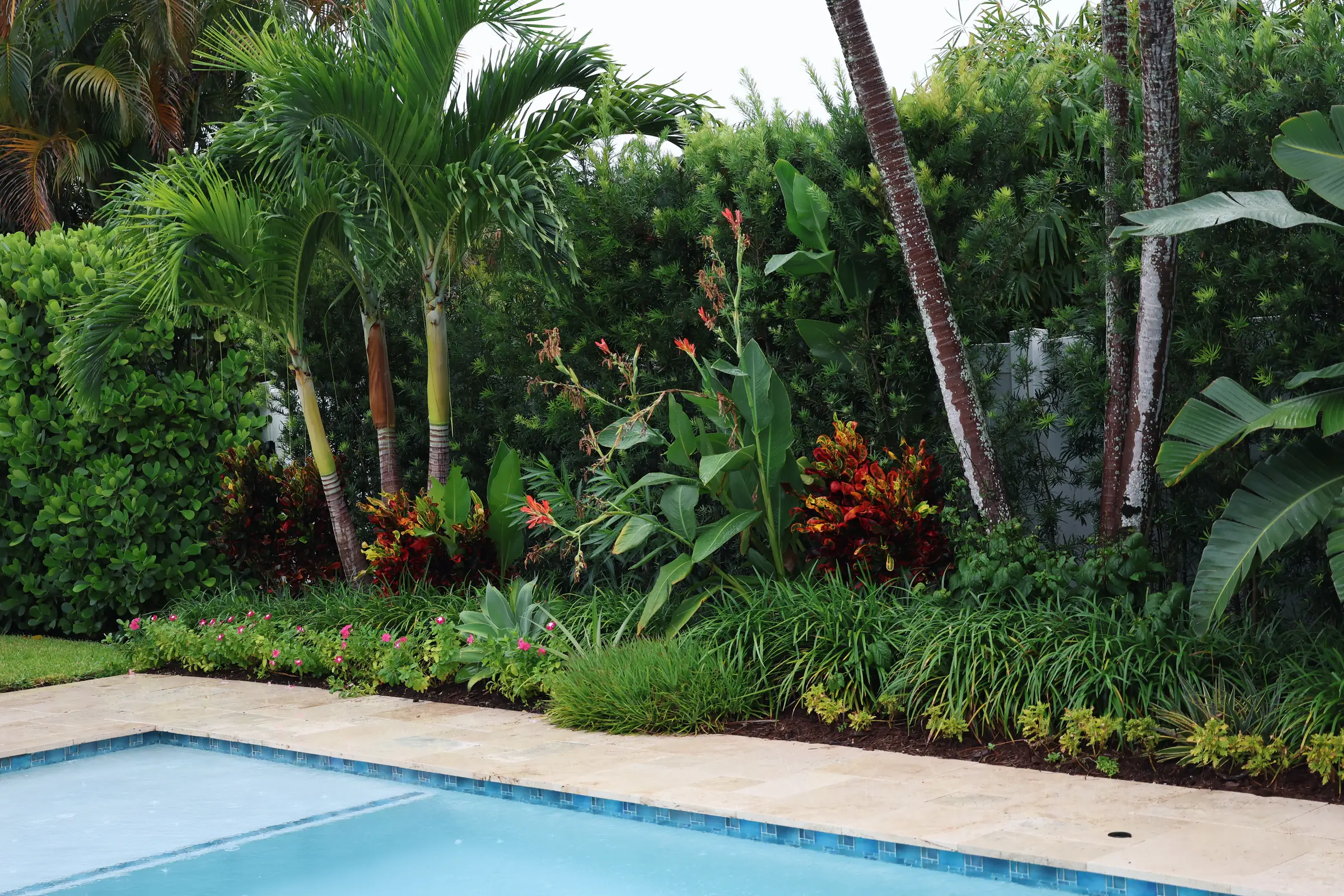 Pool corner with crotons