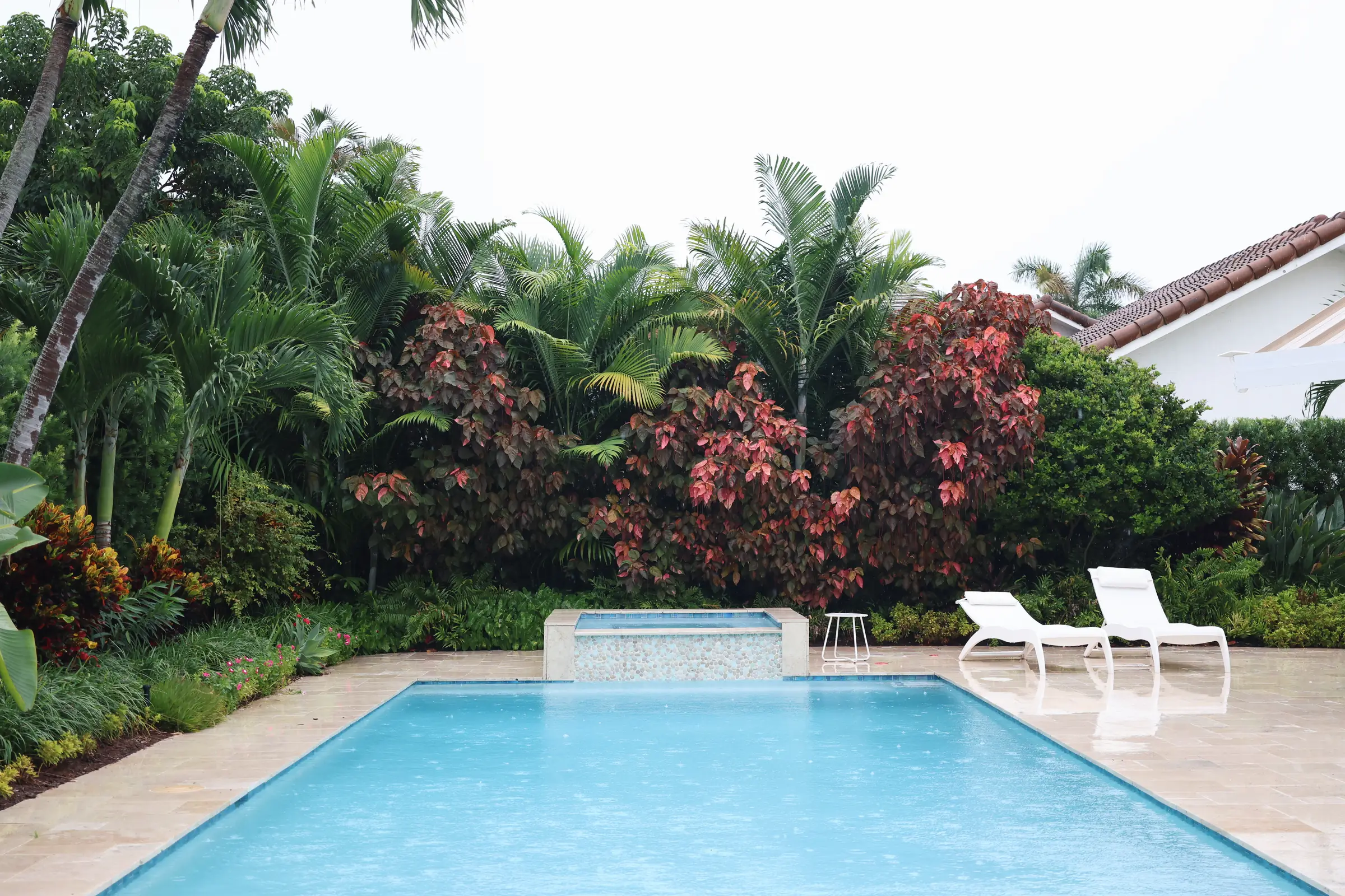 Pool, croton hedge and loungers