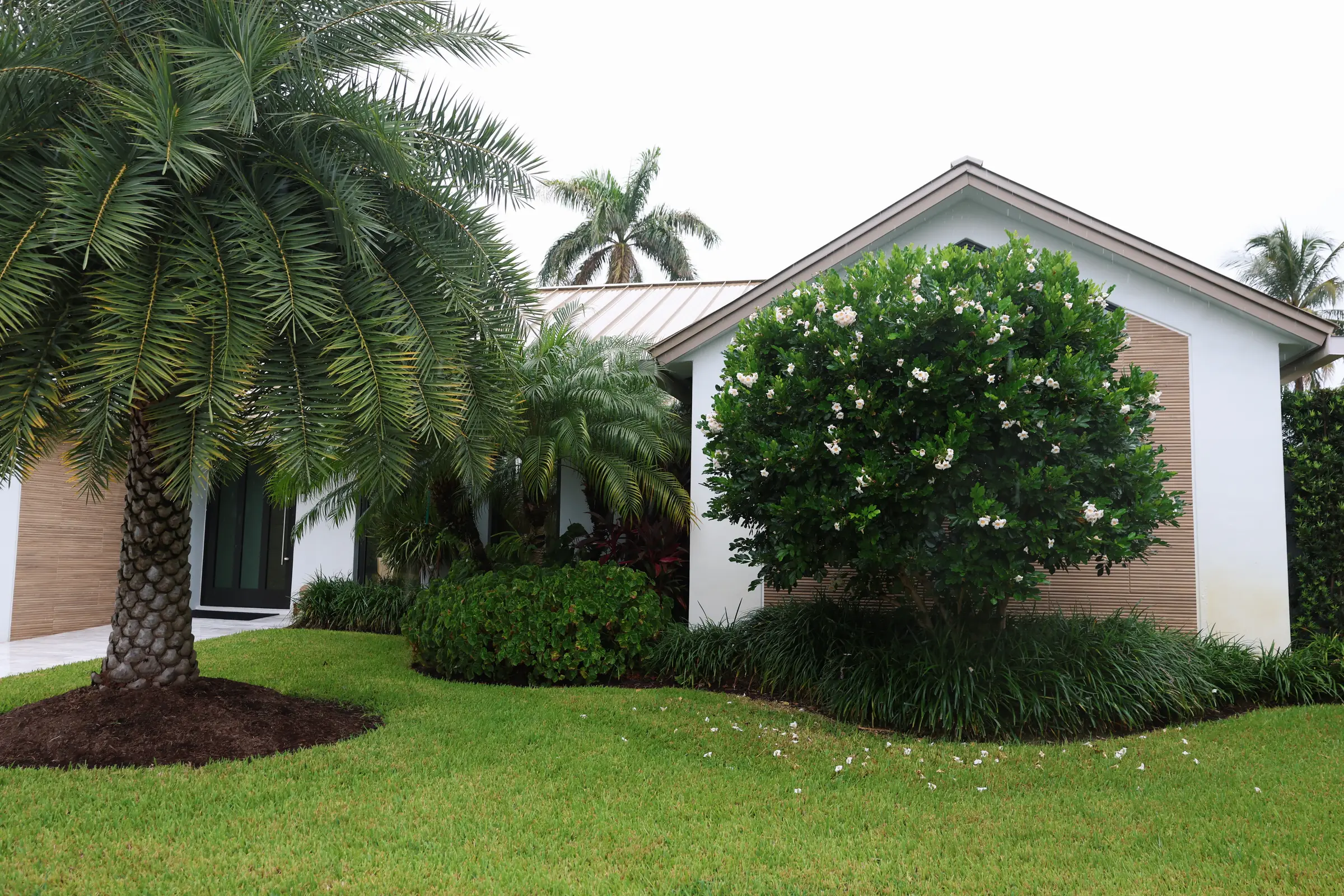 Gable, white flowering shrub, palms