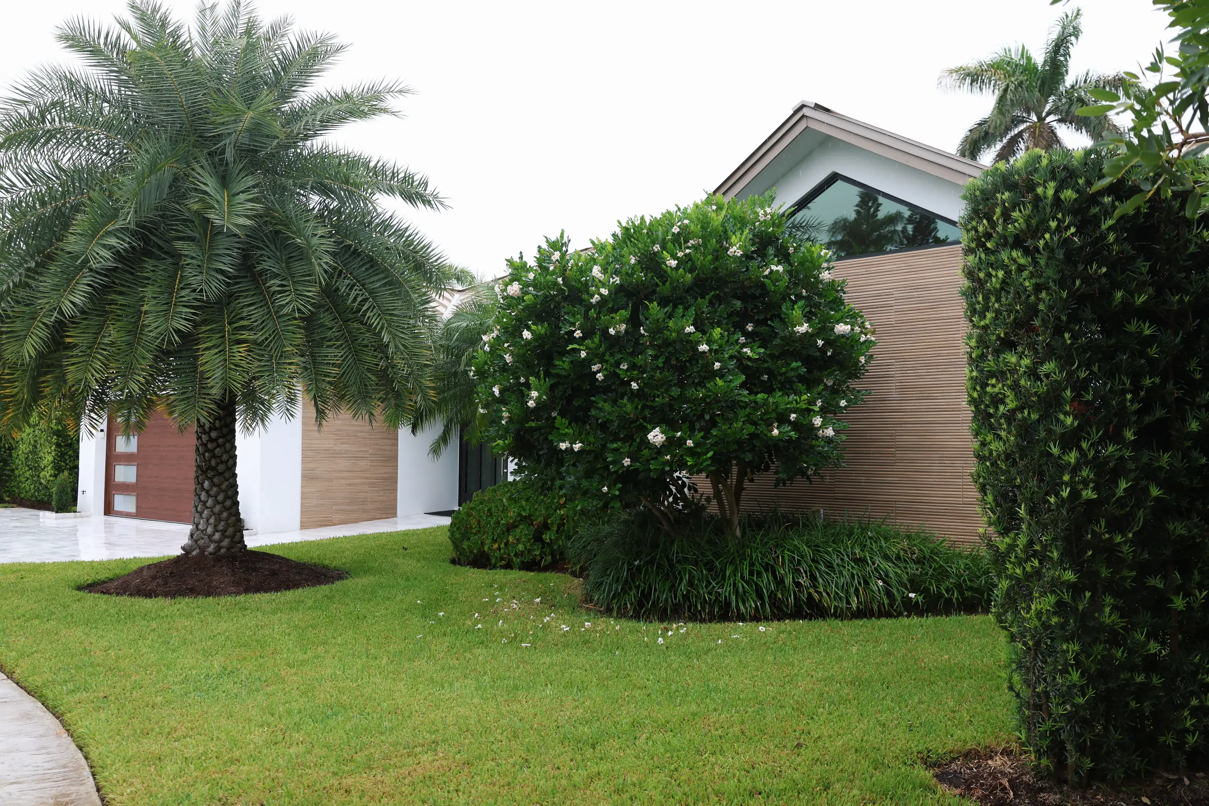 Palm, gardenia and house