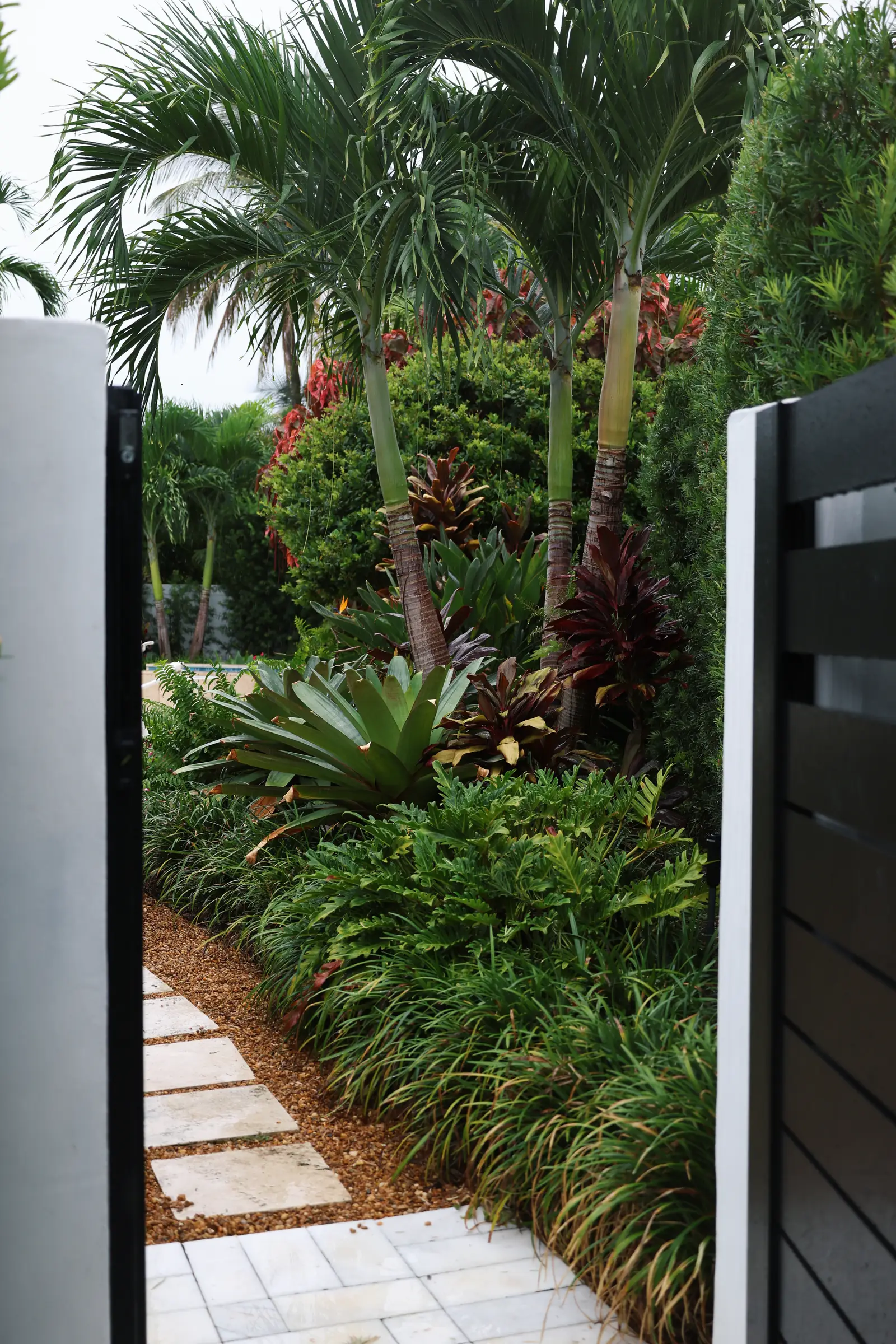 Through the black gate to stepping path