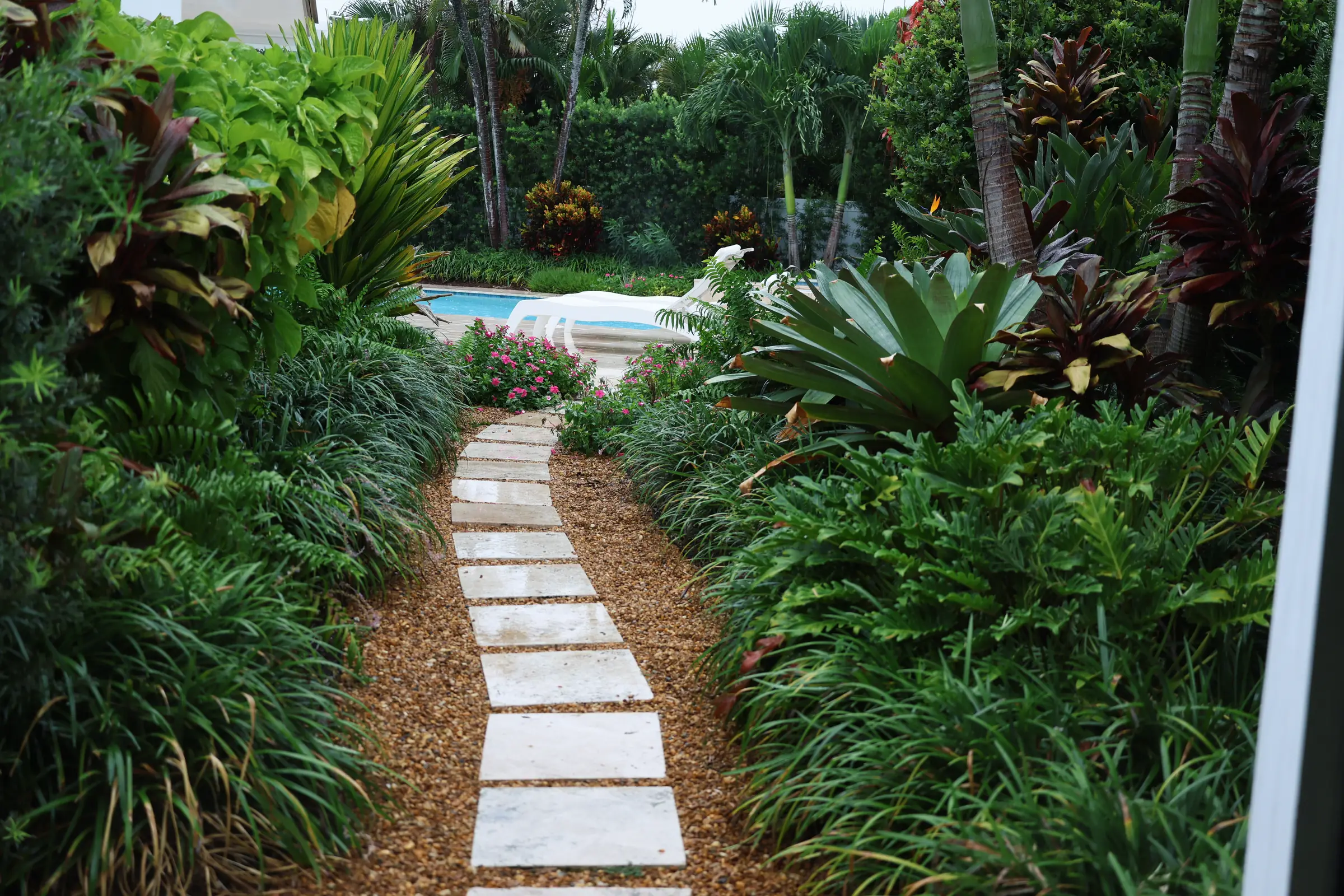 Stepping stones through bromeliads
