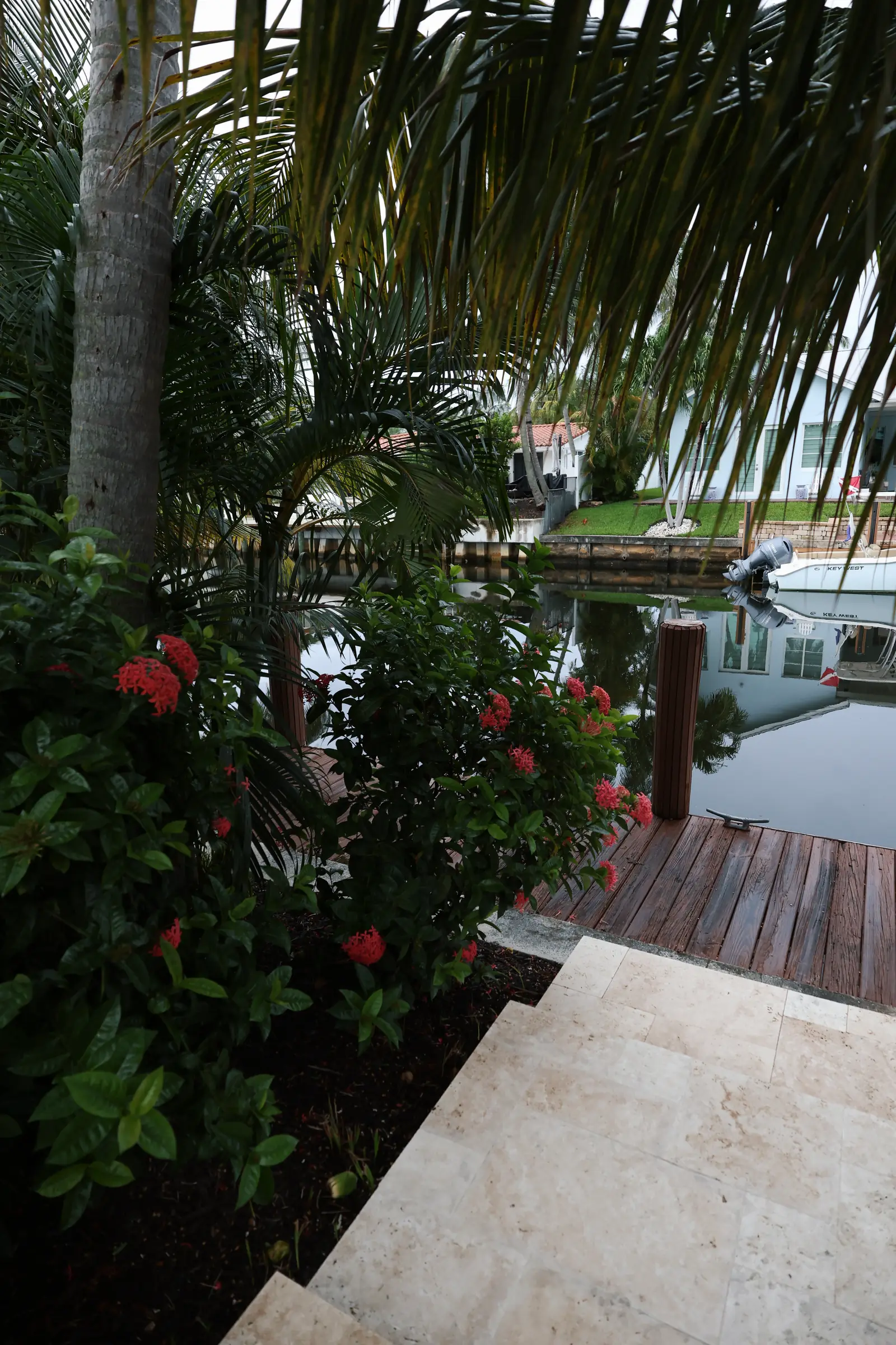 Coral ixora against palm trunk and dock