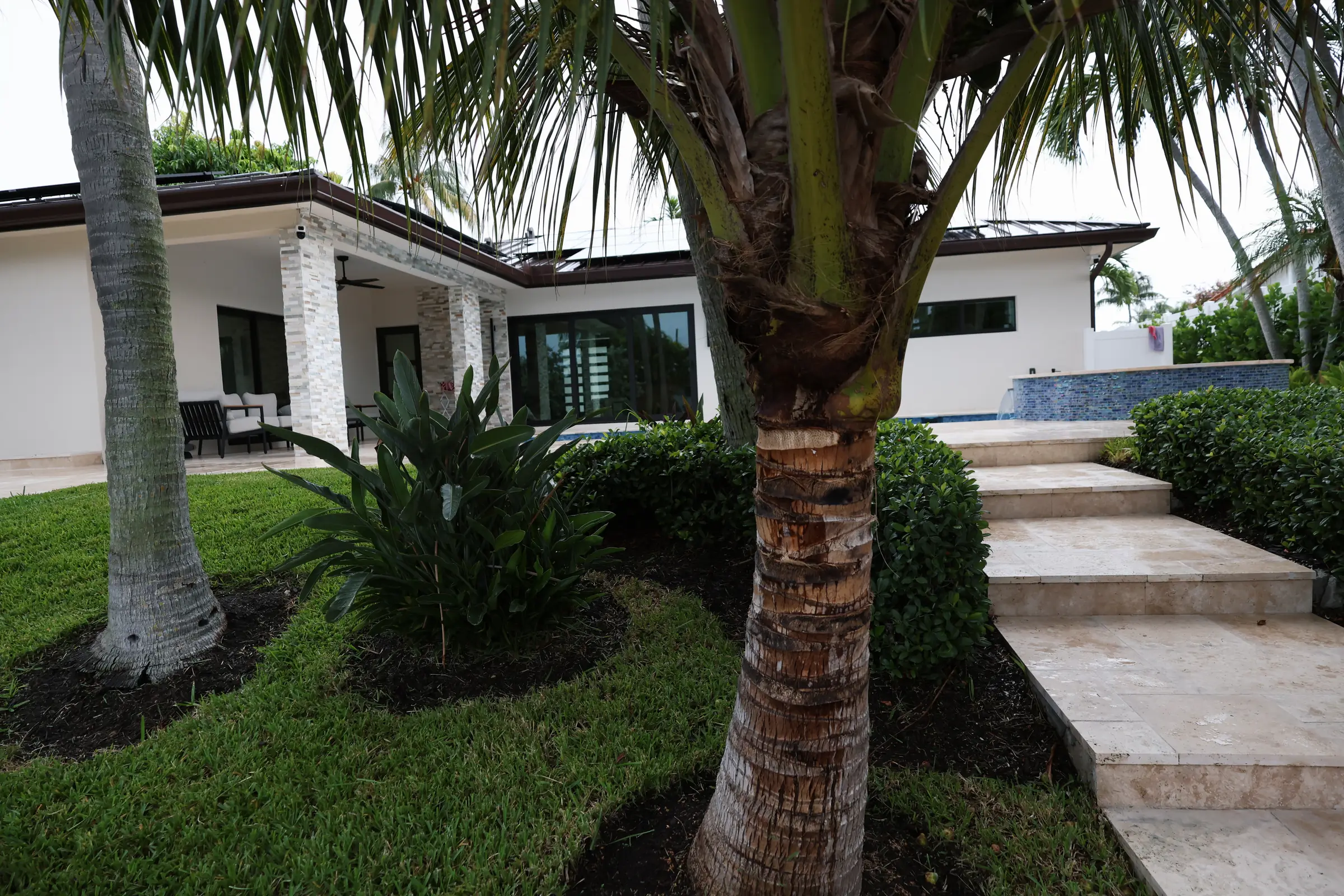 Coconut trunk ferns and travertine steps